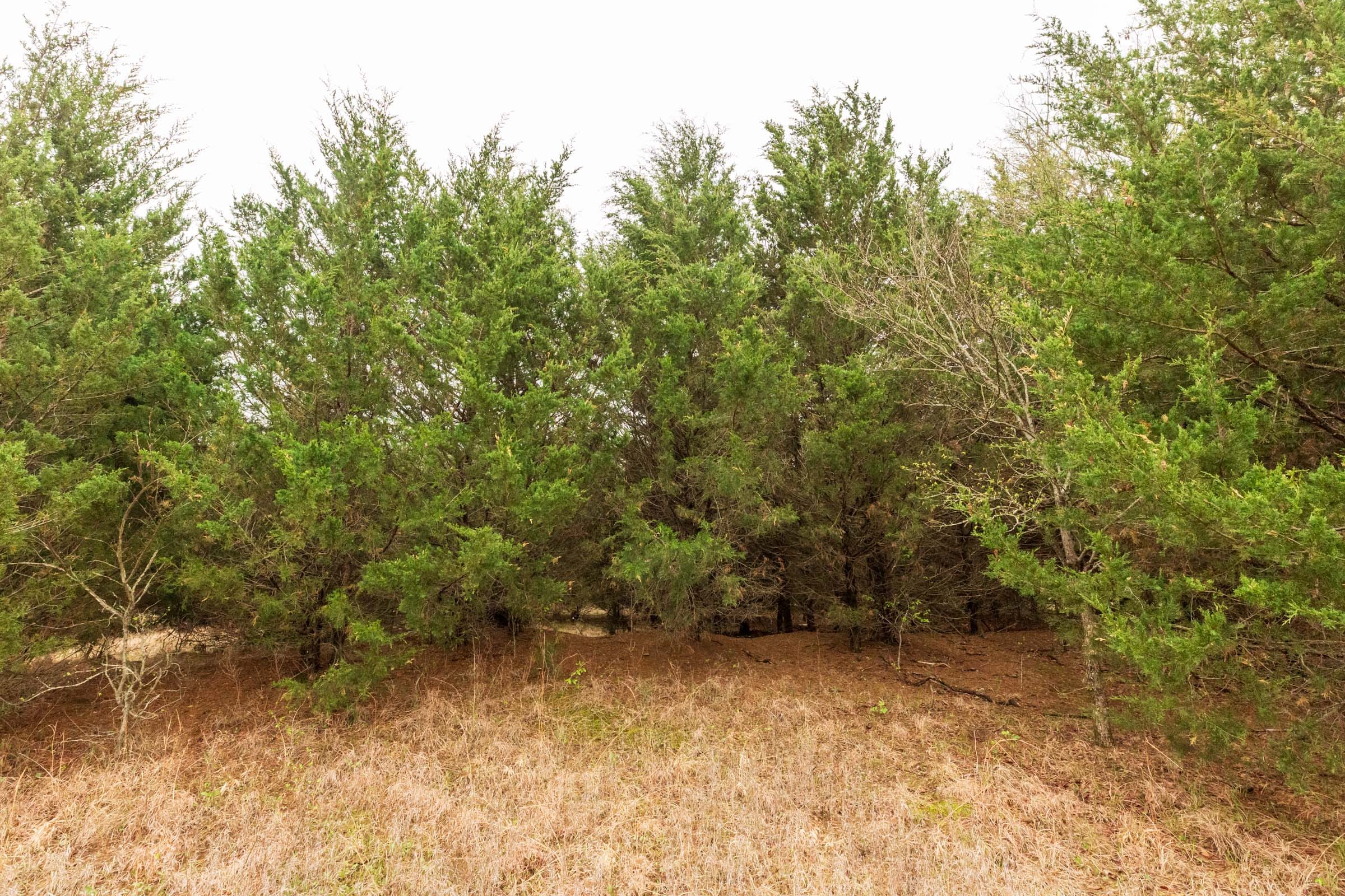 Moonrise Meadows Tract 3 photo 15