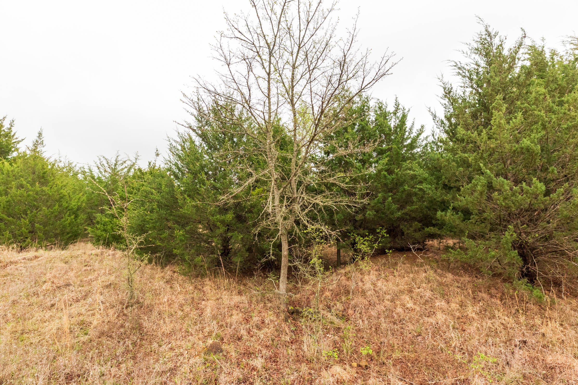 Moonrise Meadows Tract 3 photo 16