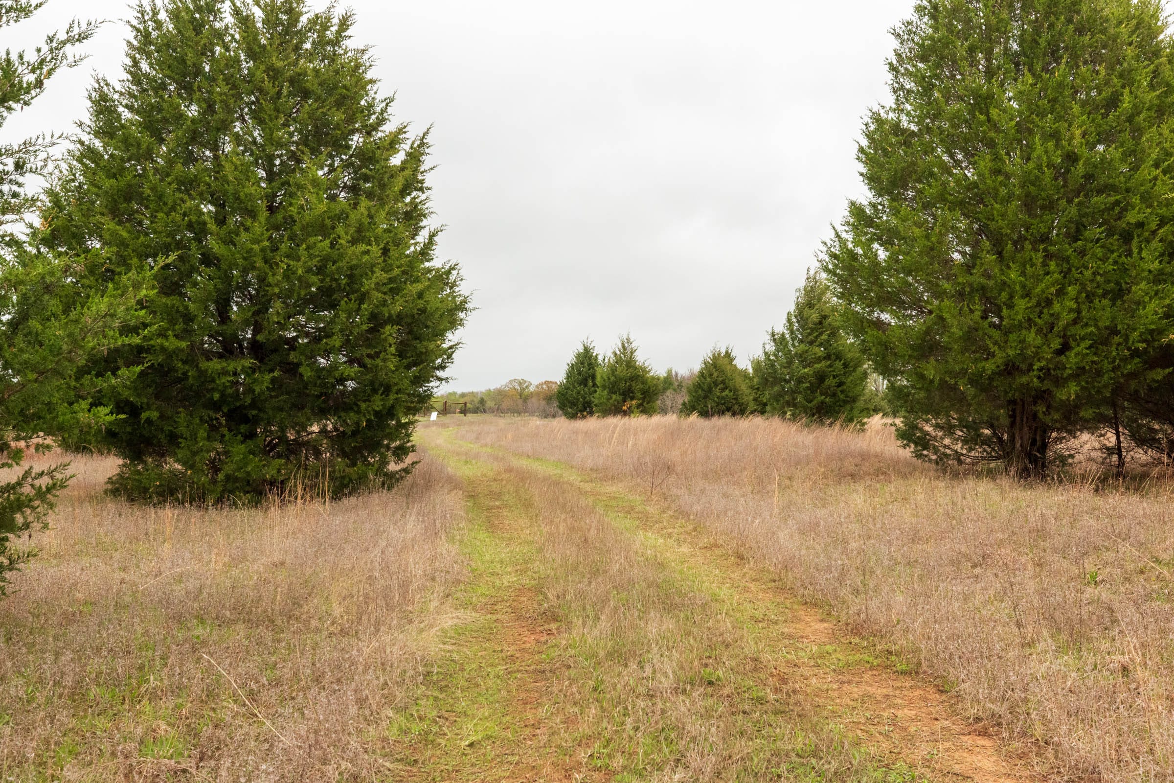 Moonrise Meadows Tract 3 photo 17