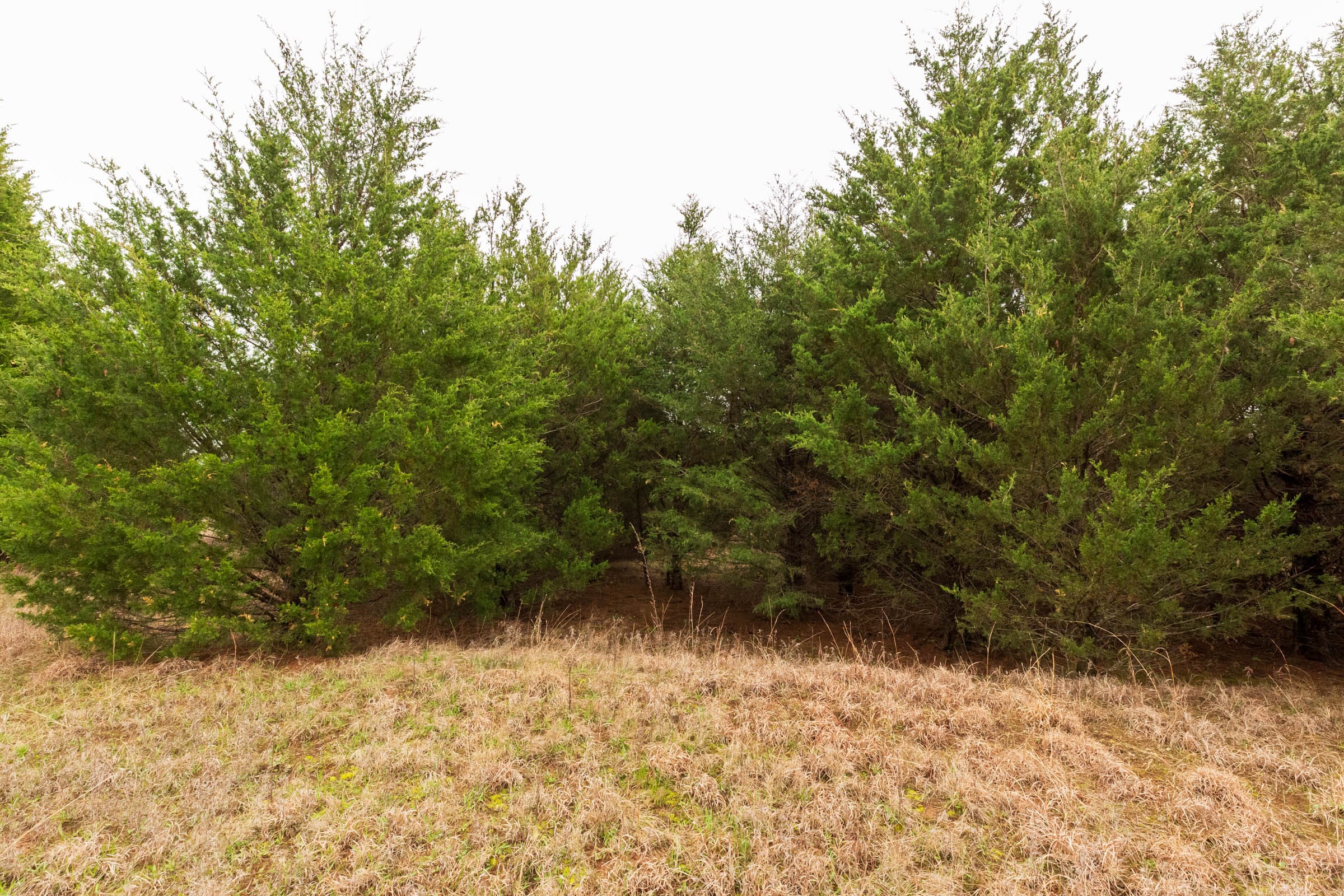 Moonrise Meadows Tract 3 photo 20