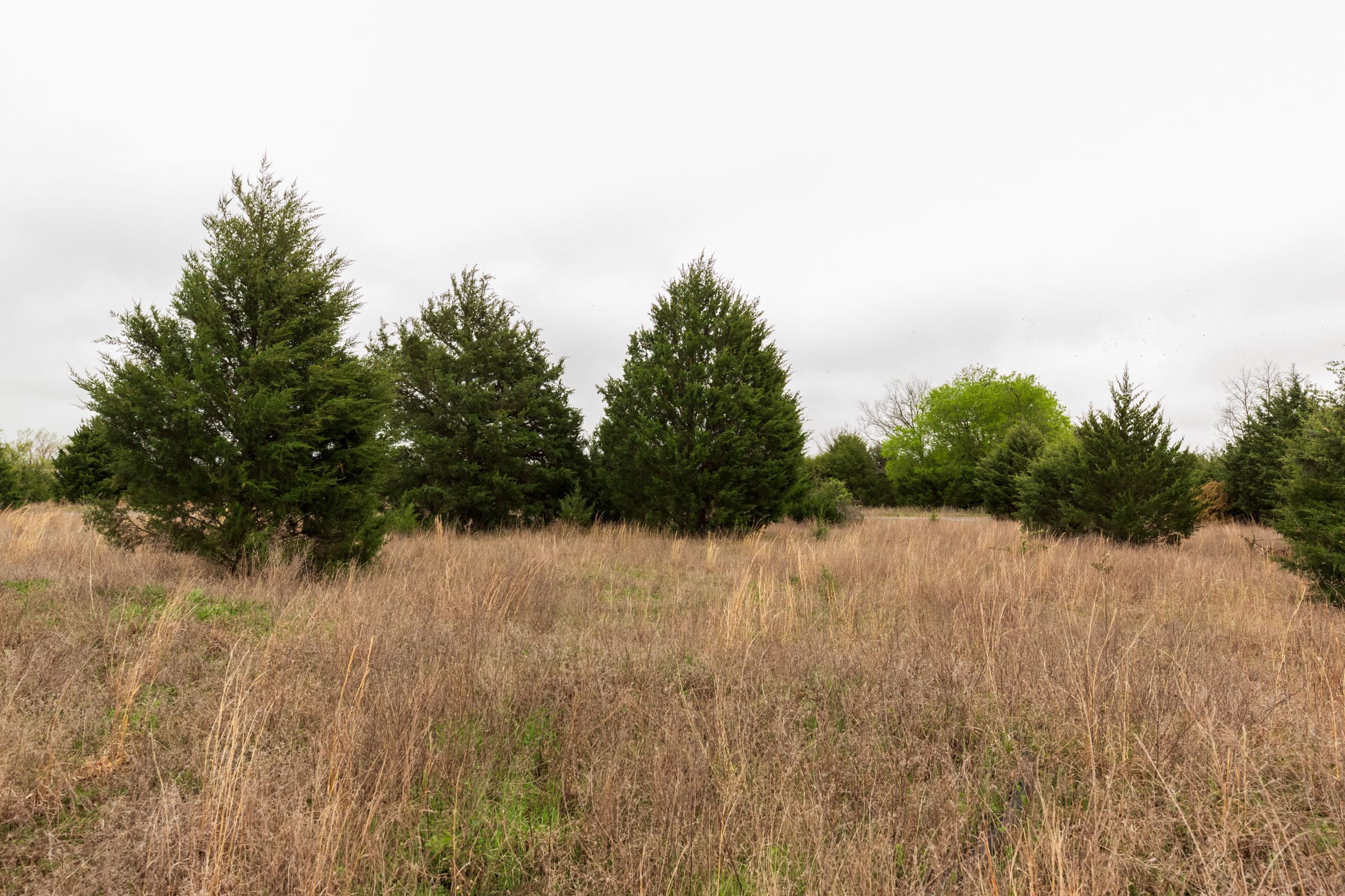 Moonrise Meadows Tract 3 photo 19