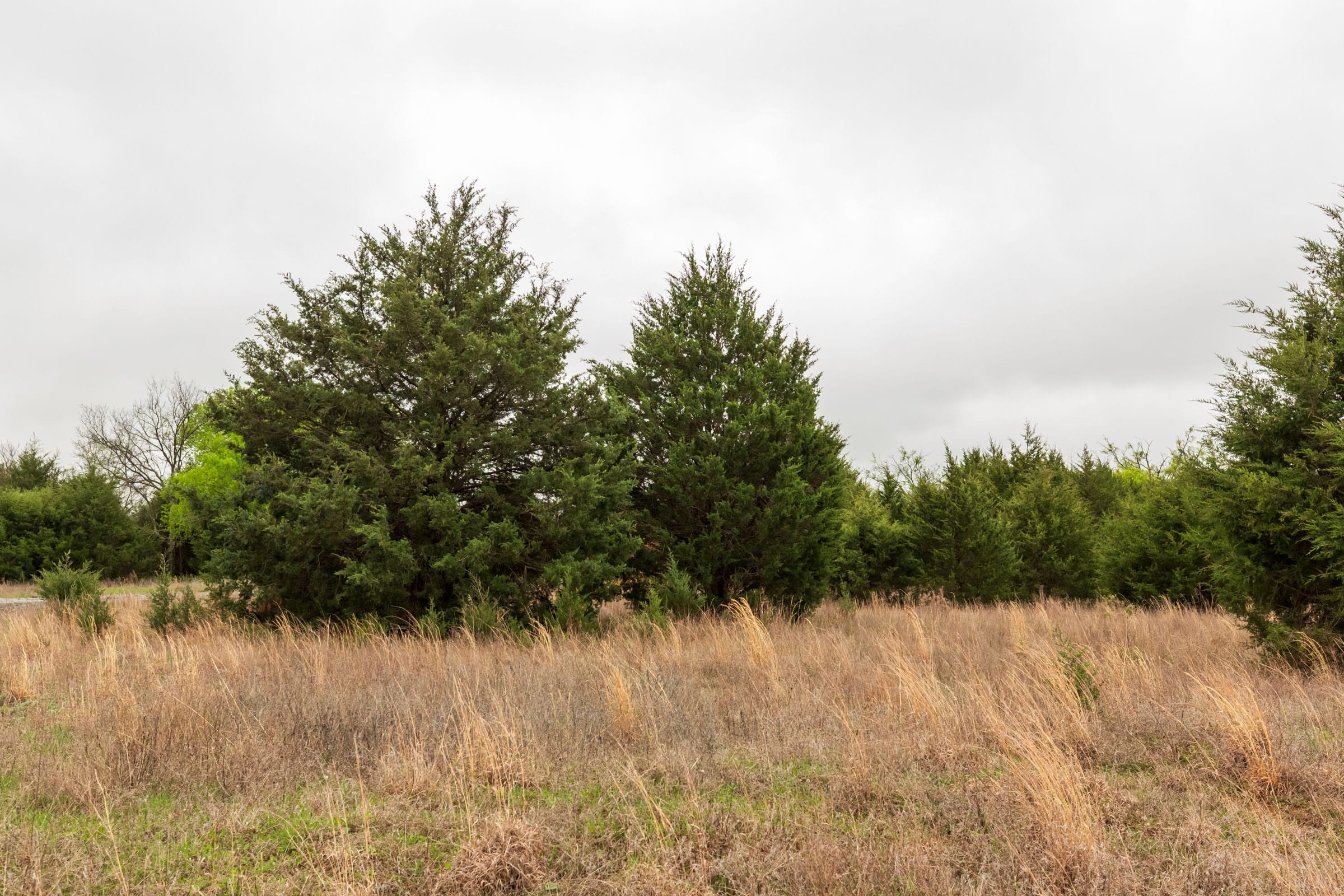 Moonrise Meadows Tract 3 photo 22