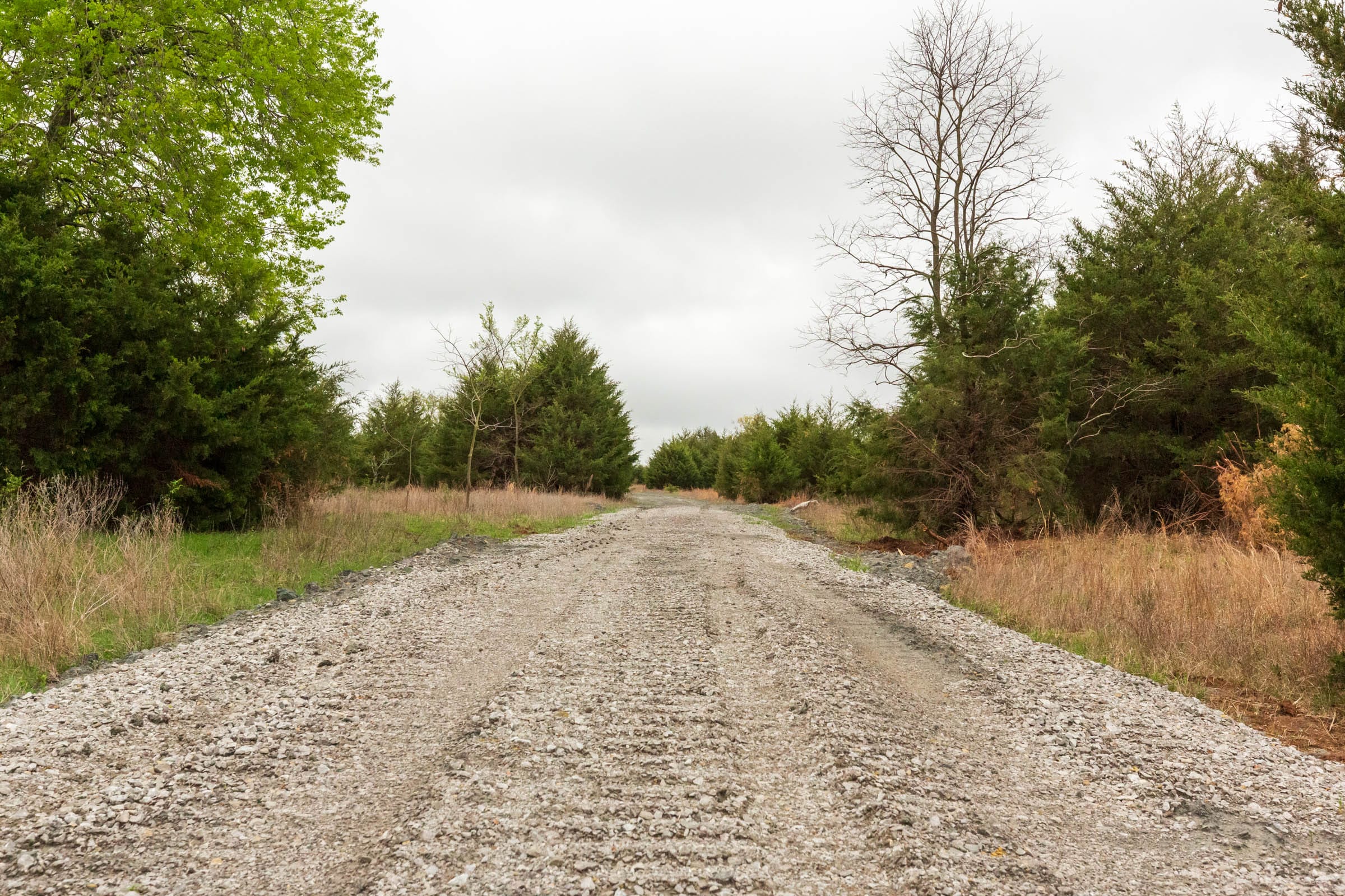 Moonrise Meadows Tract 3 photo 1