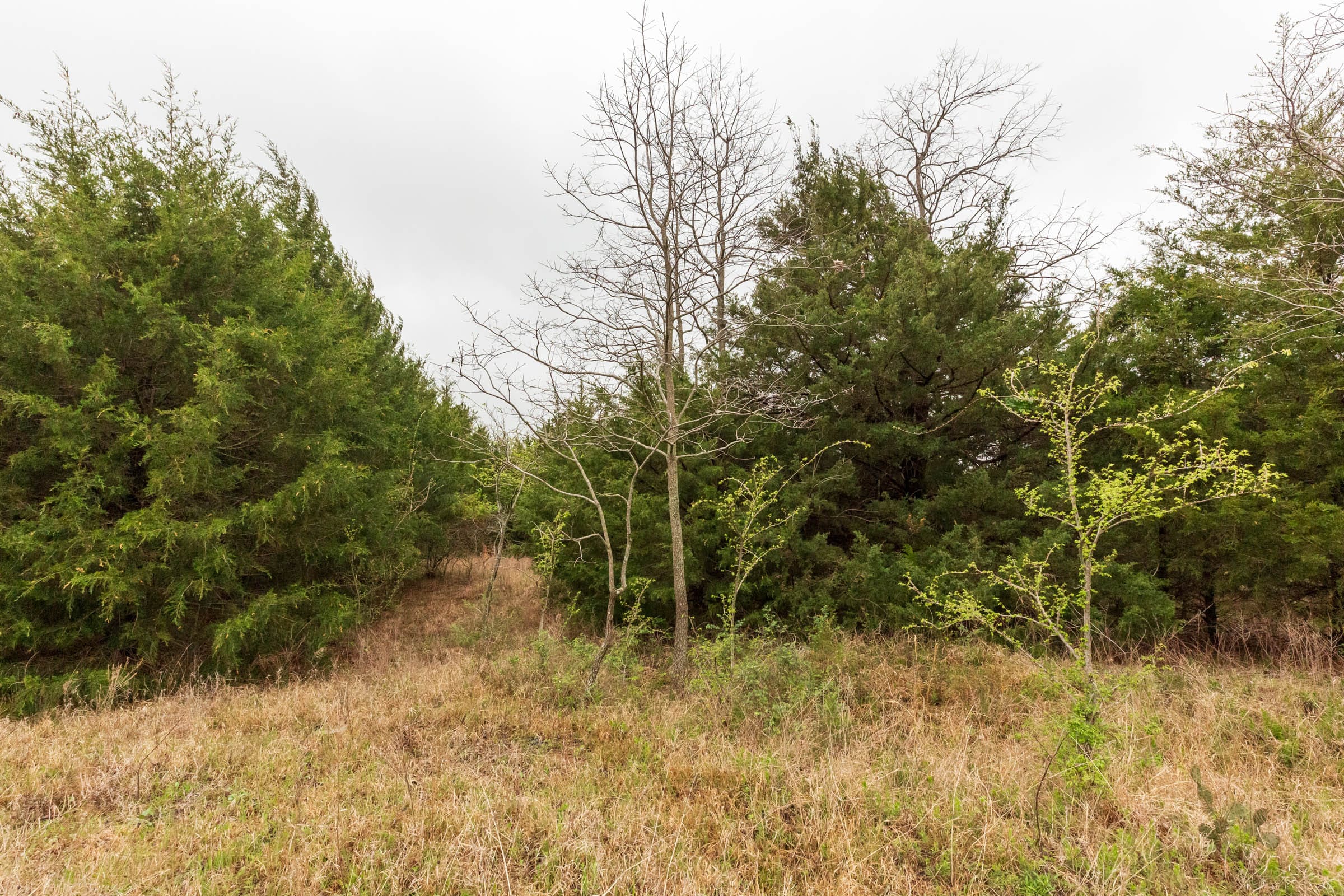 Moonrise Meadows Tract 3 photo 23