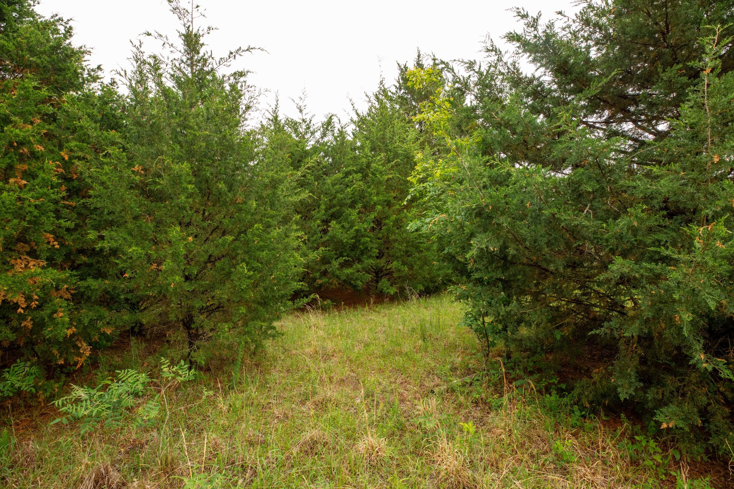 Moonrise Meadows Tract 3 photo 3