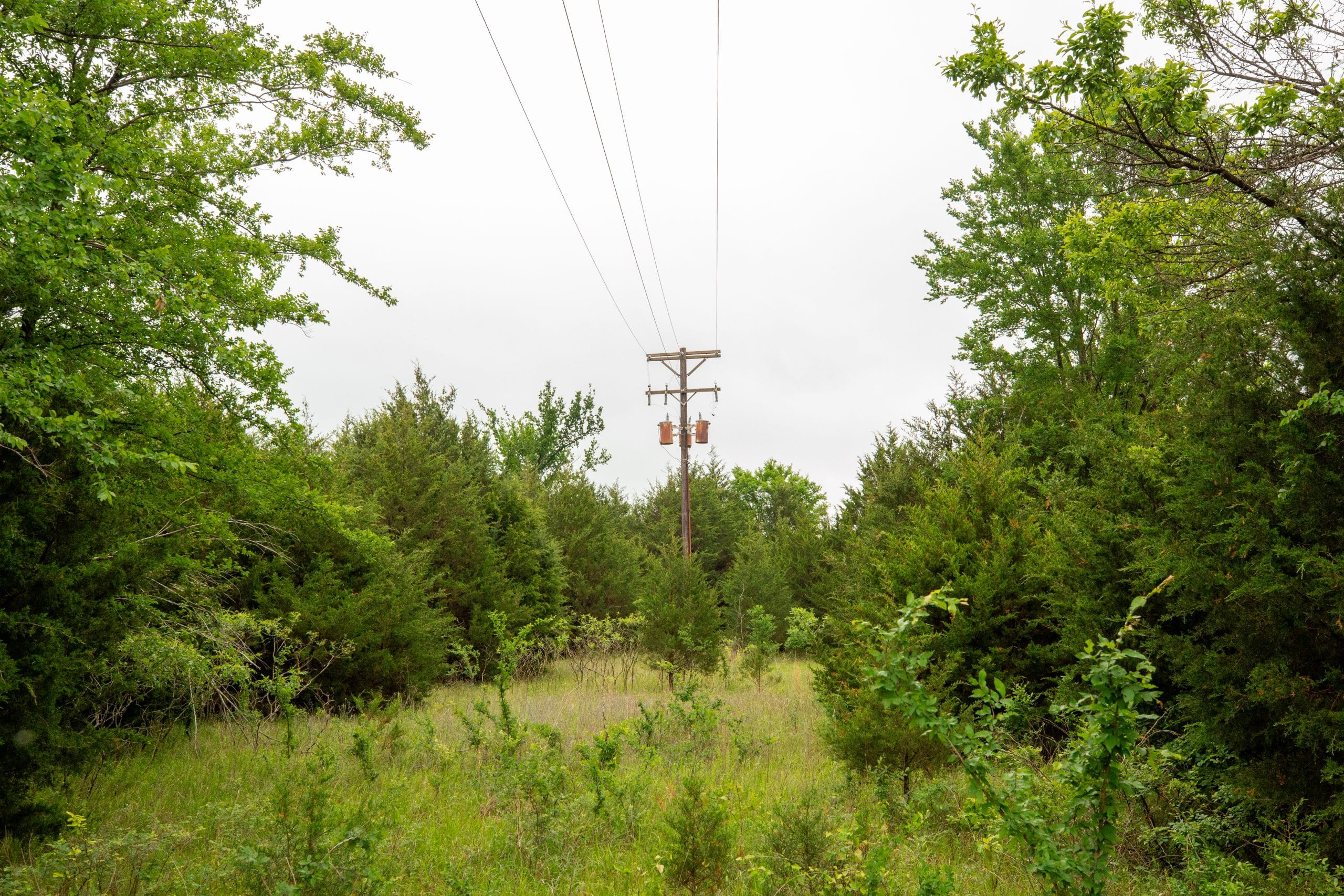 Moonrise Meadows Tract 3 photo 27