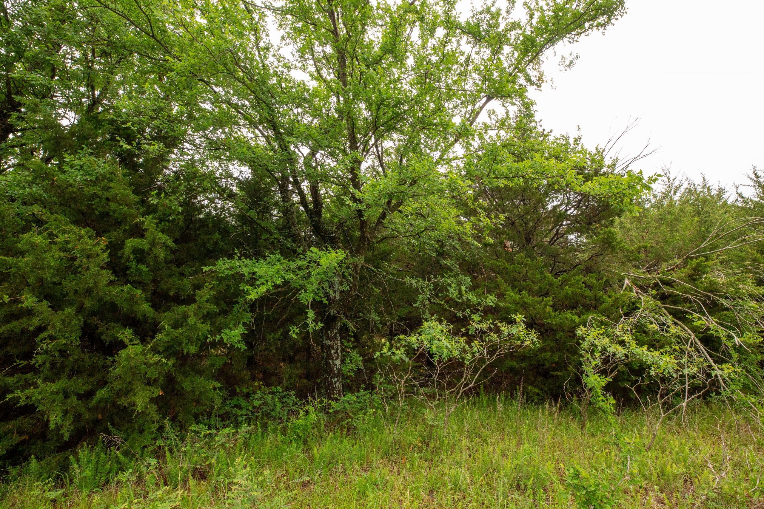 Moonrise Meadows Tract 3 photo 25
