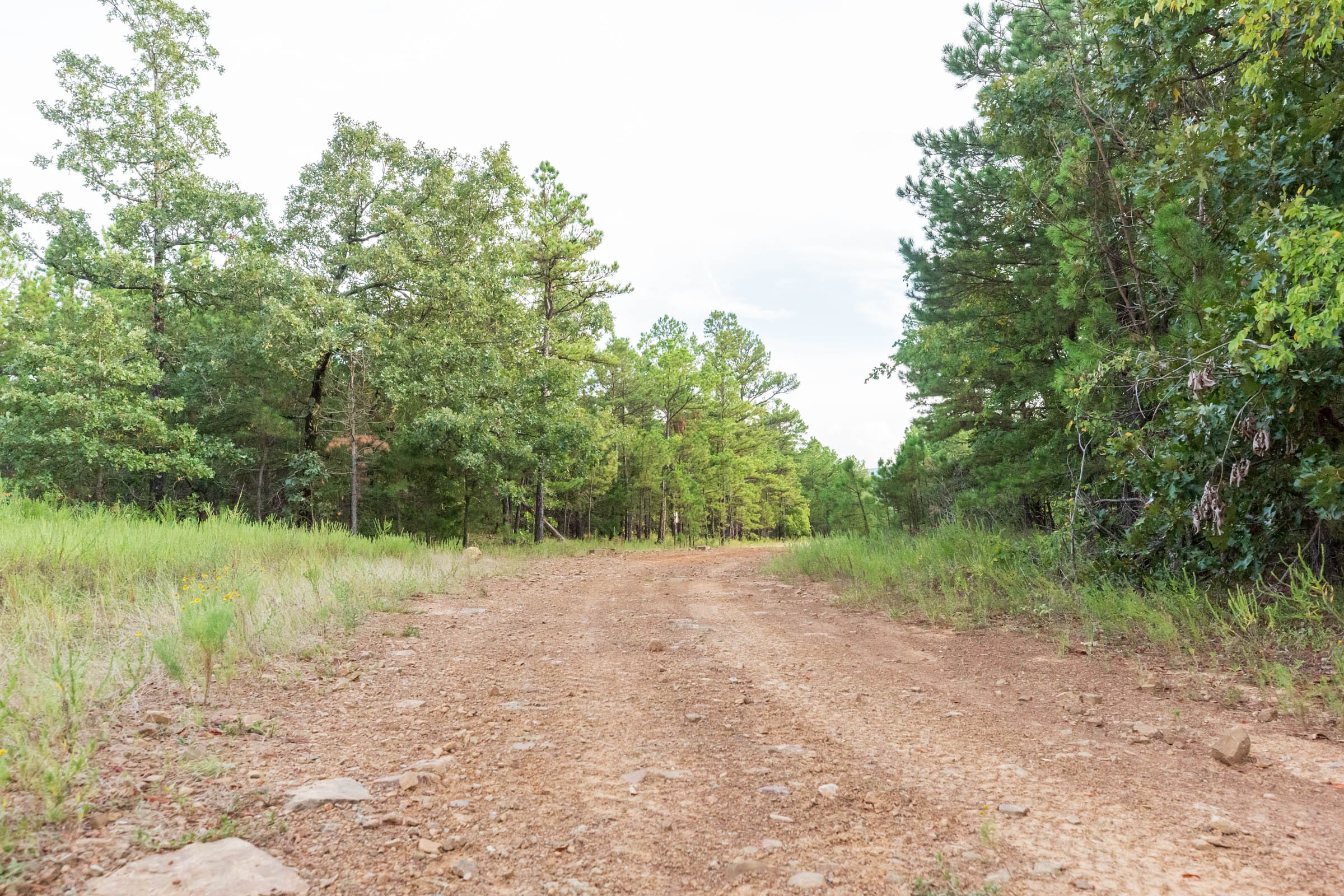 Stone Bridge Phase V Tract 390 photo 1