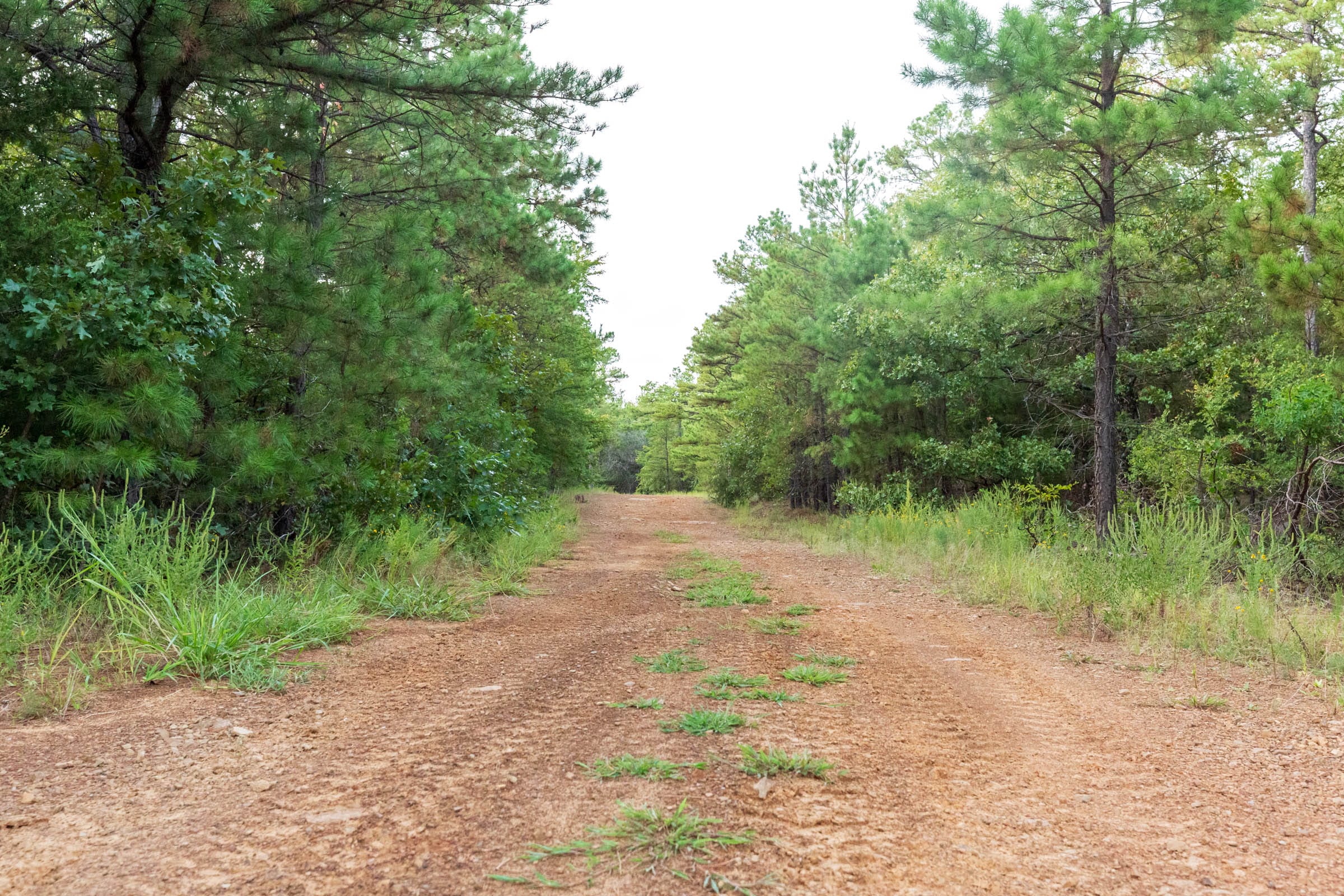 Stone Bridge Phase V Tract 390 photo 6