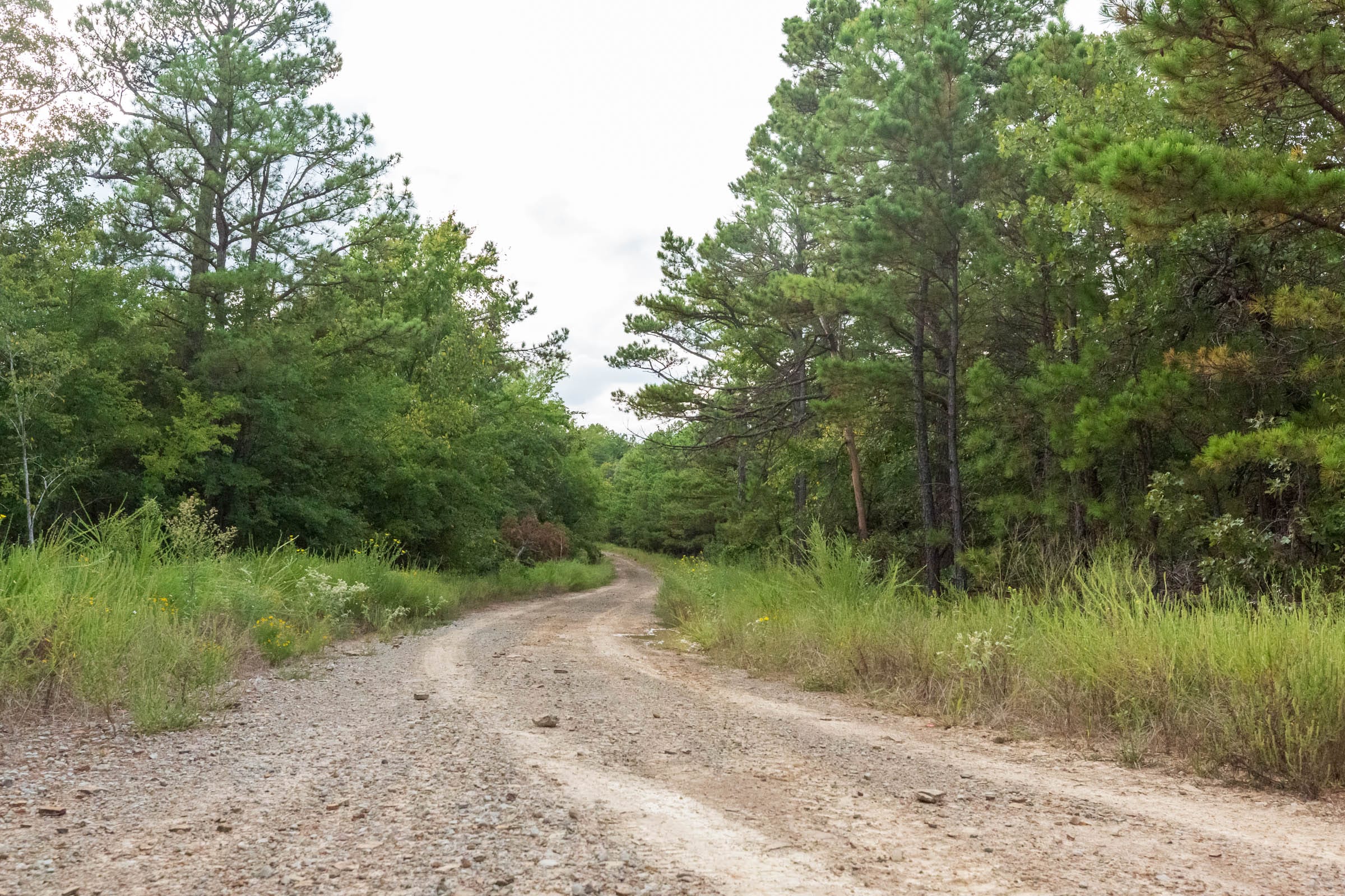 Stone Bridge Phase V Tract 390 photo 14