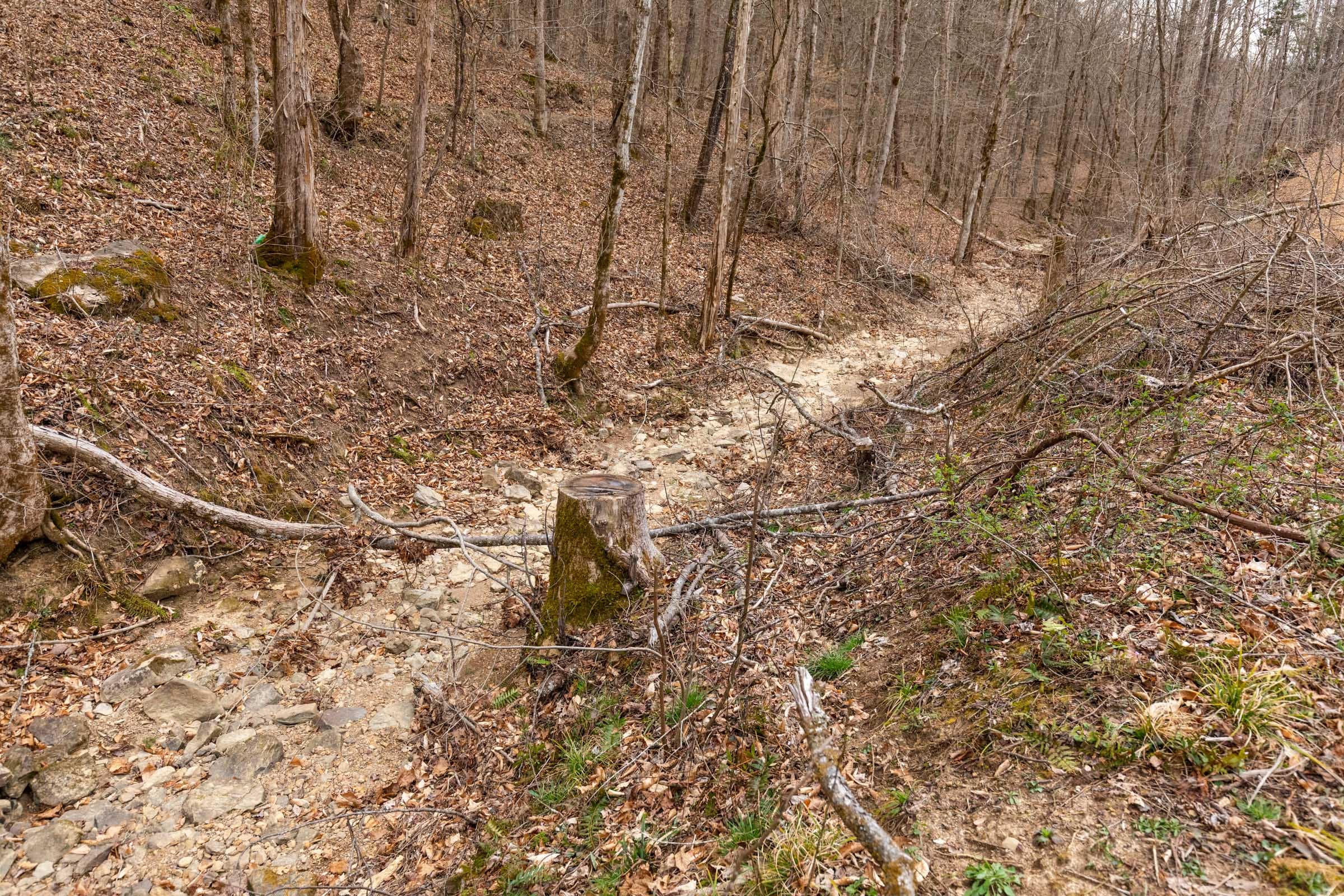 Creek Hollow Phase I Tract 26 photo 2