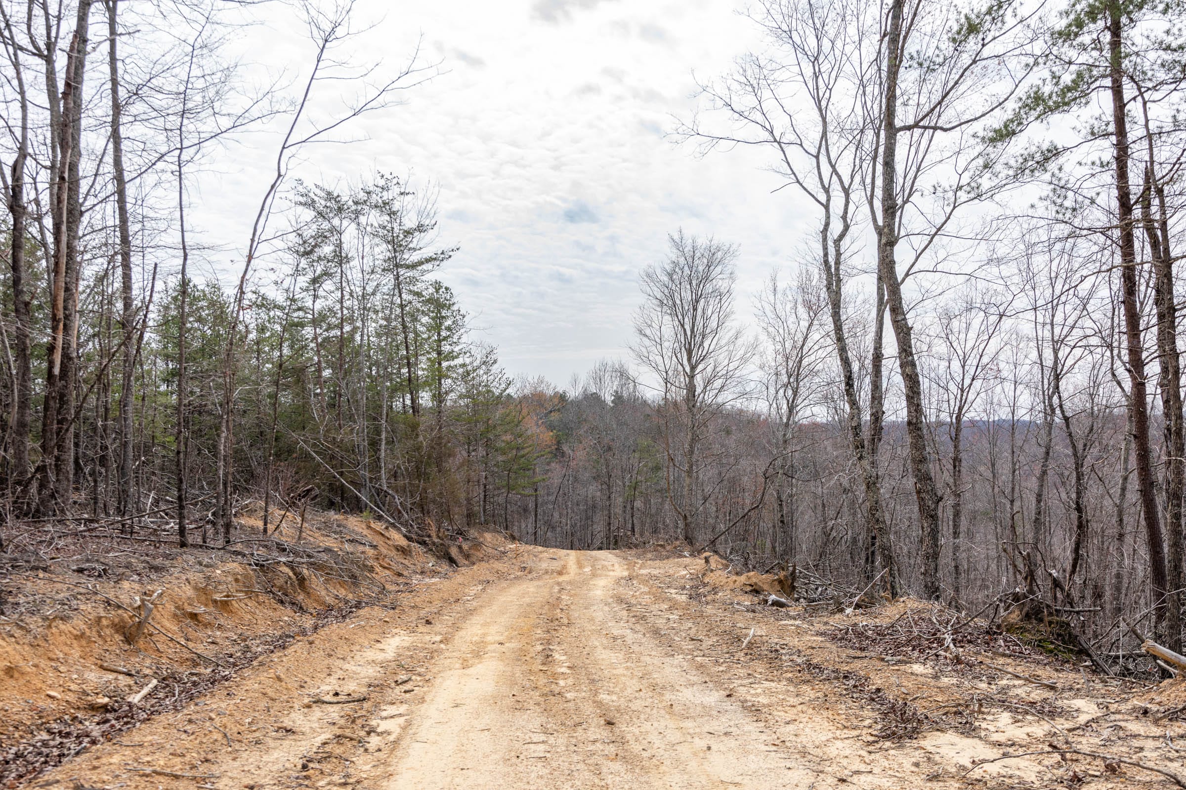 Creek Hollow Phase I Tract 26 photo 6