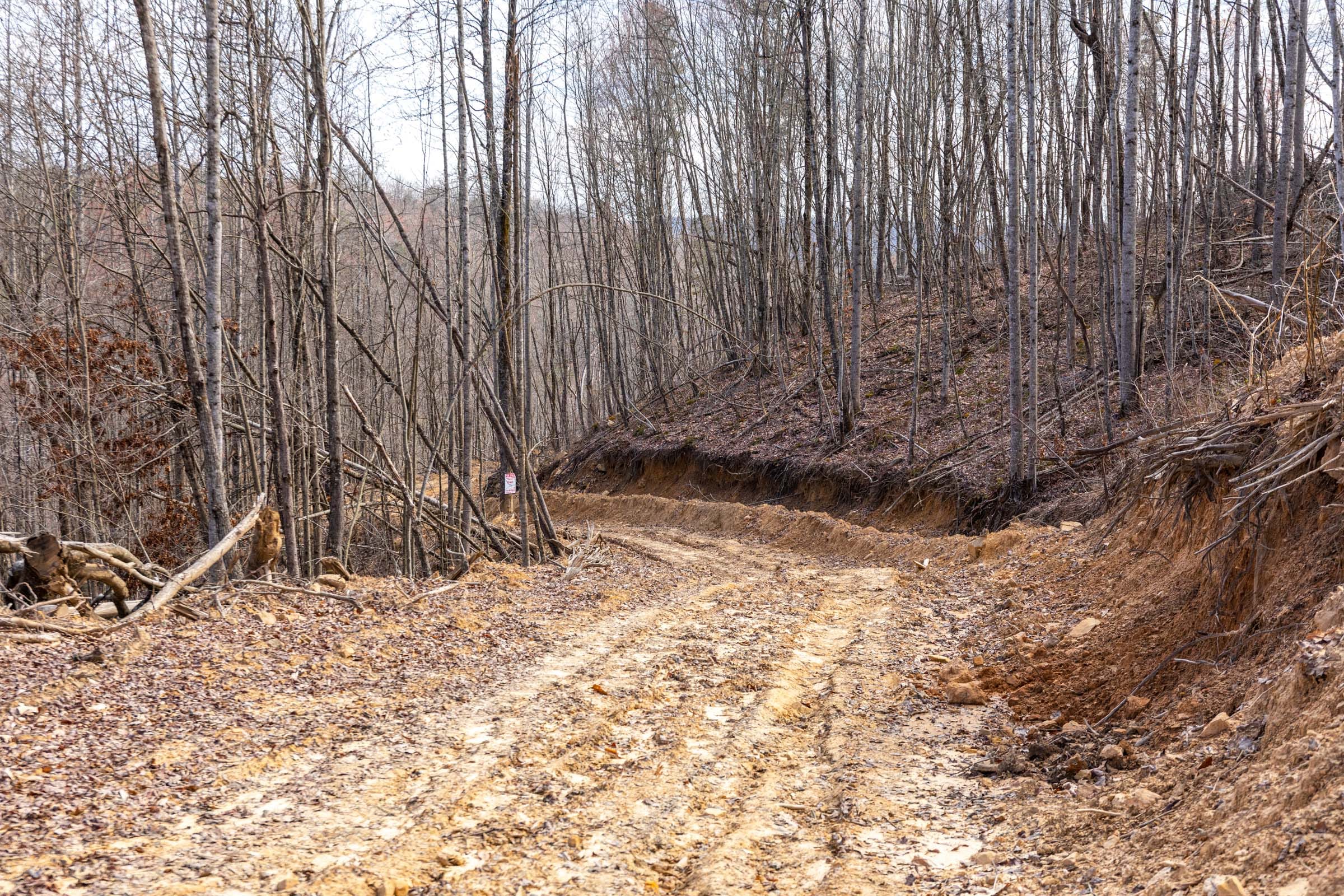 Creek Hollow Phase I Tract 26 photo 11
