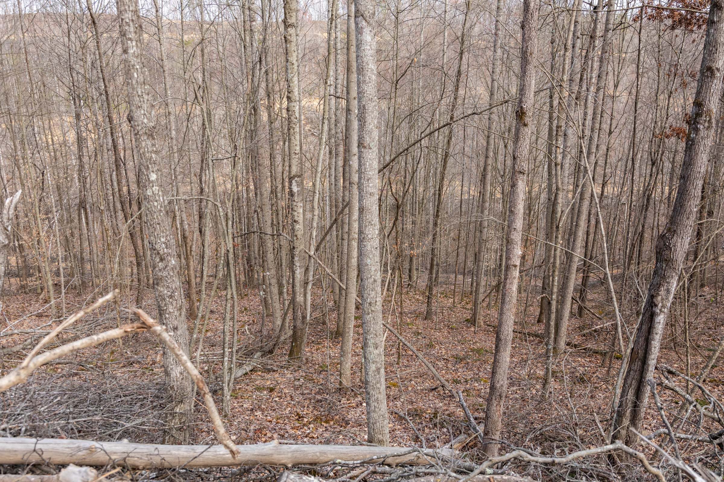 Creek Hollow Phase I Tract 26 photo 13