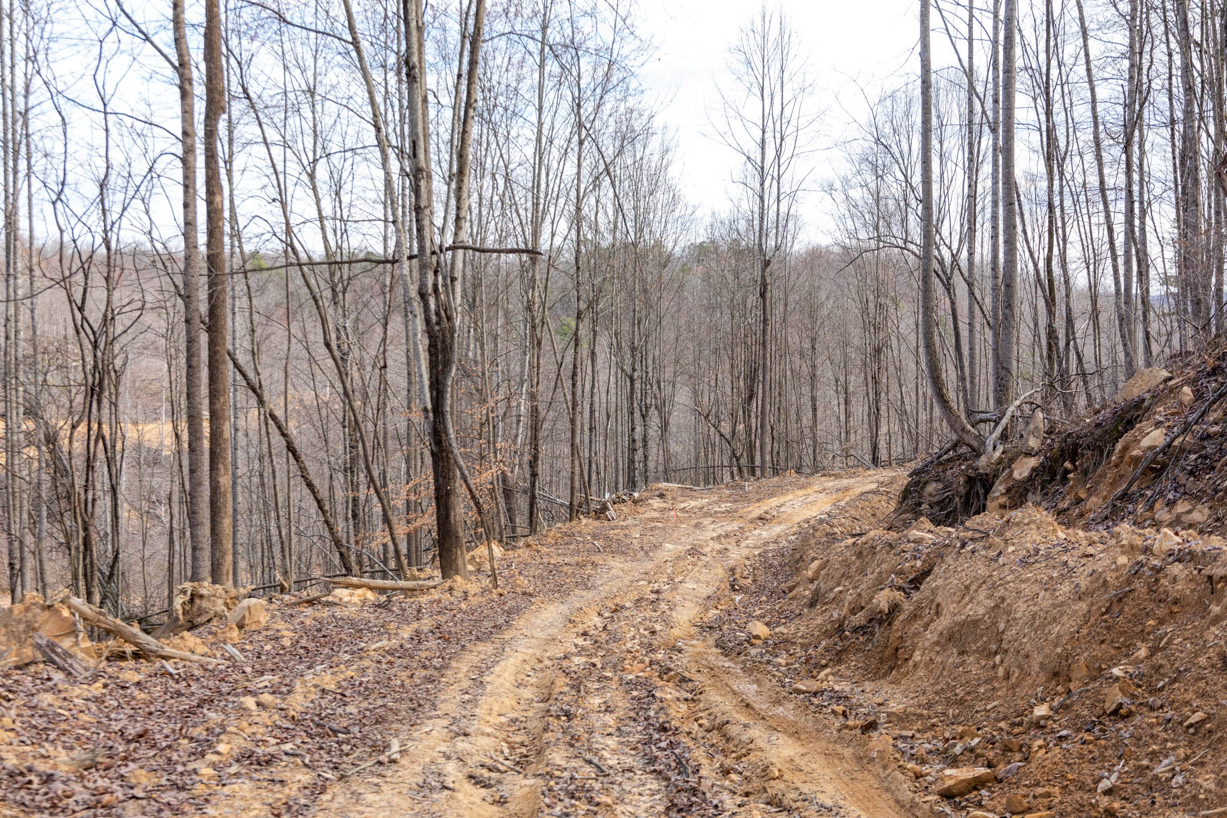 Creek Hollow Phase I Tract 26 photo 1