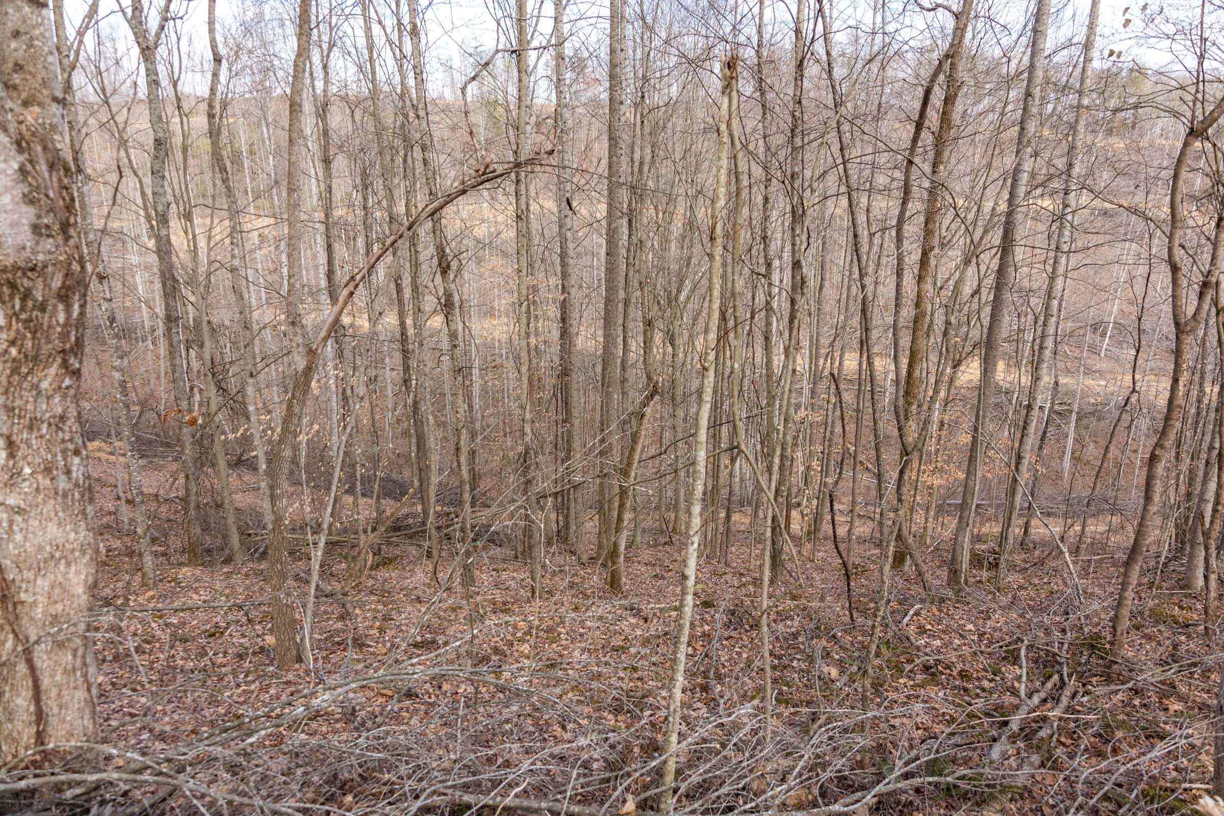 Creek Hollow Phase I Tract 26 photo 14