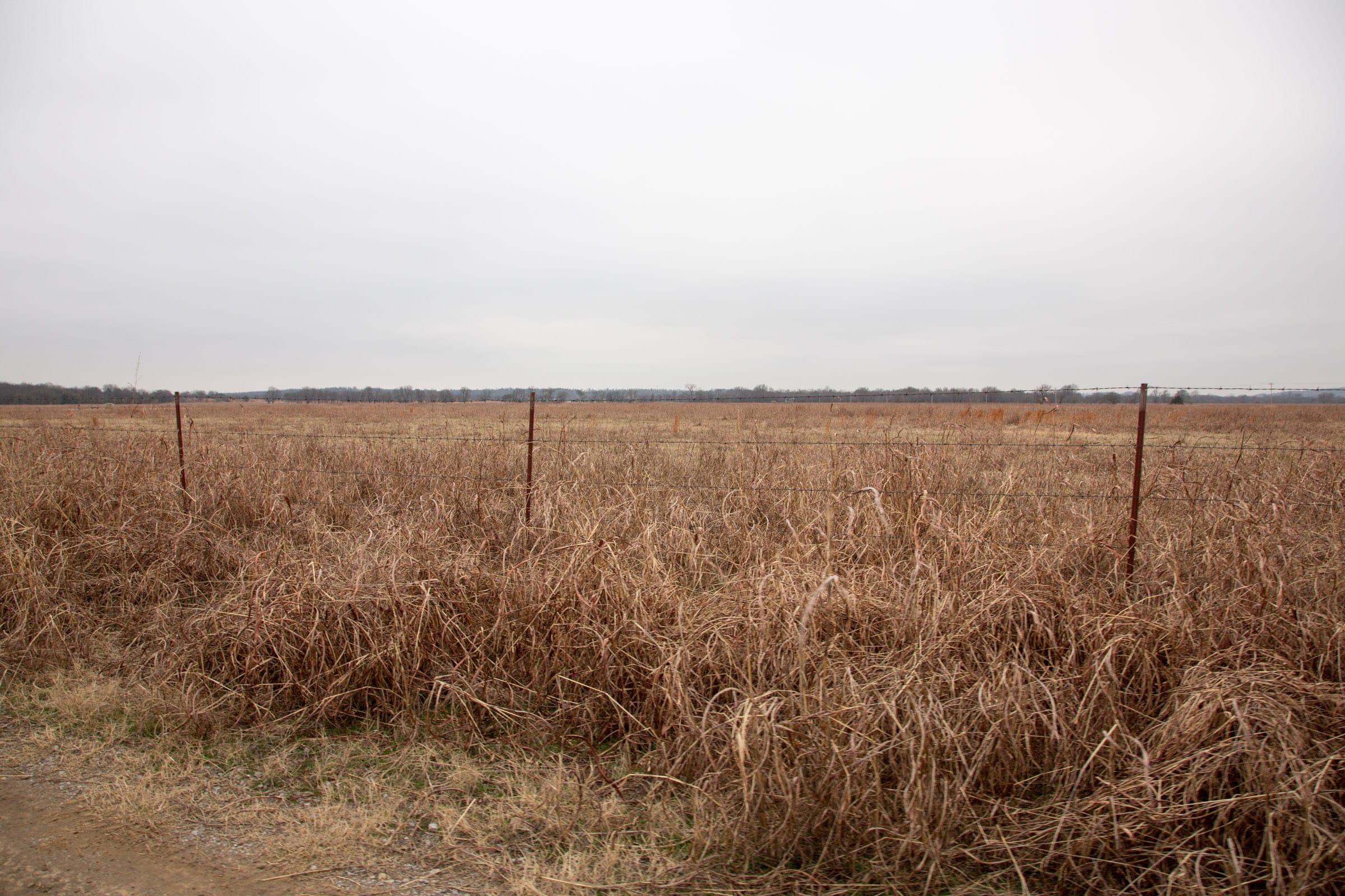 Canadian Plains Tract 40 photo 2