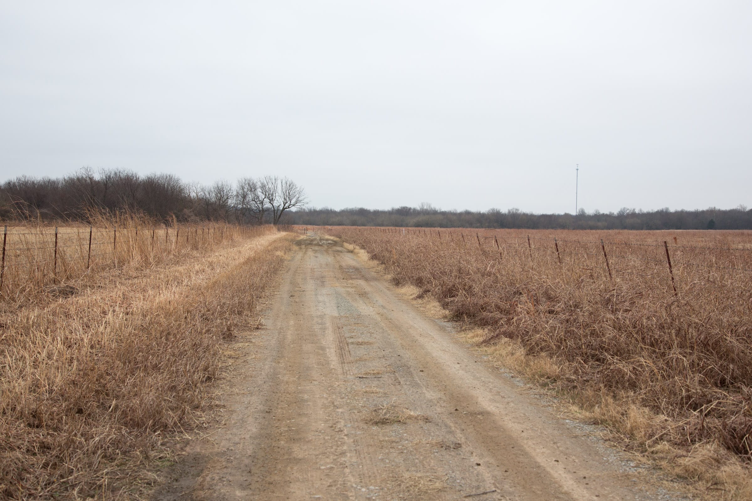 Canadian Plains Tract 40 photo 1
