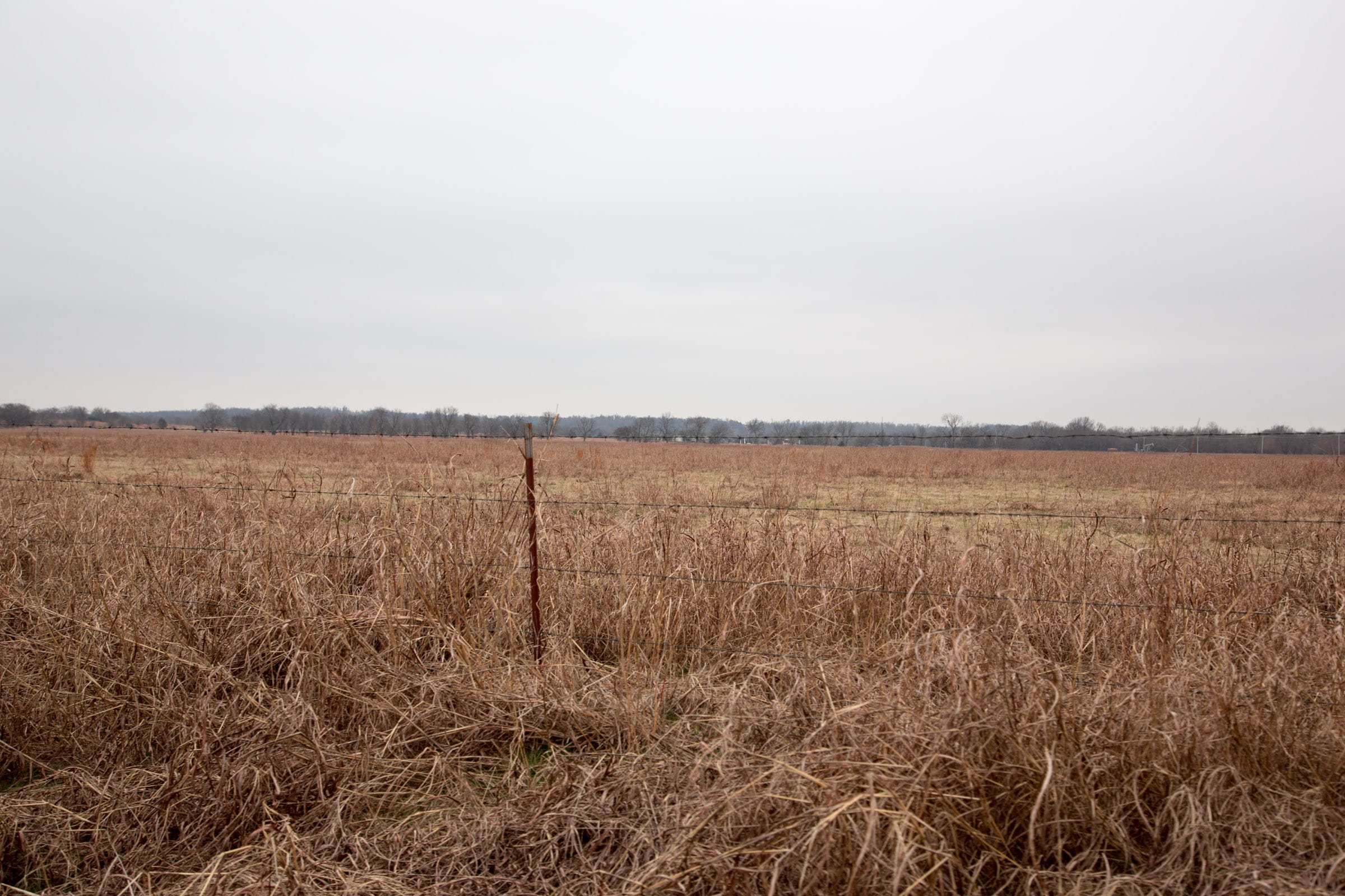 Canadian Plains Tract 40 photo 3