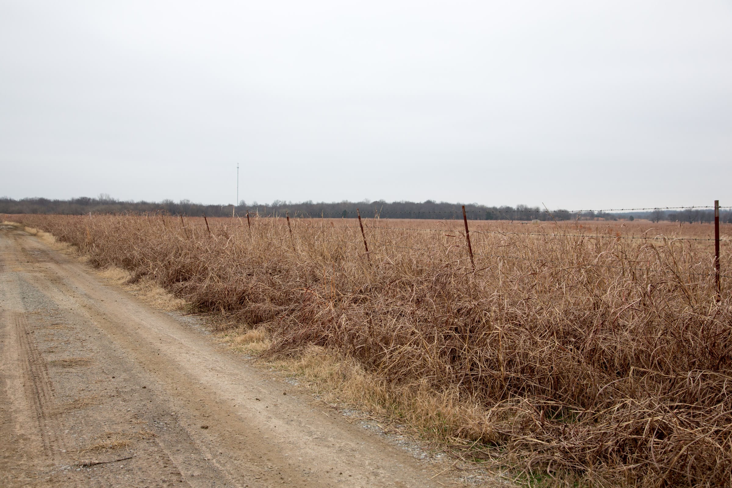 Canadian Plains Tract 40 photo 4