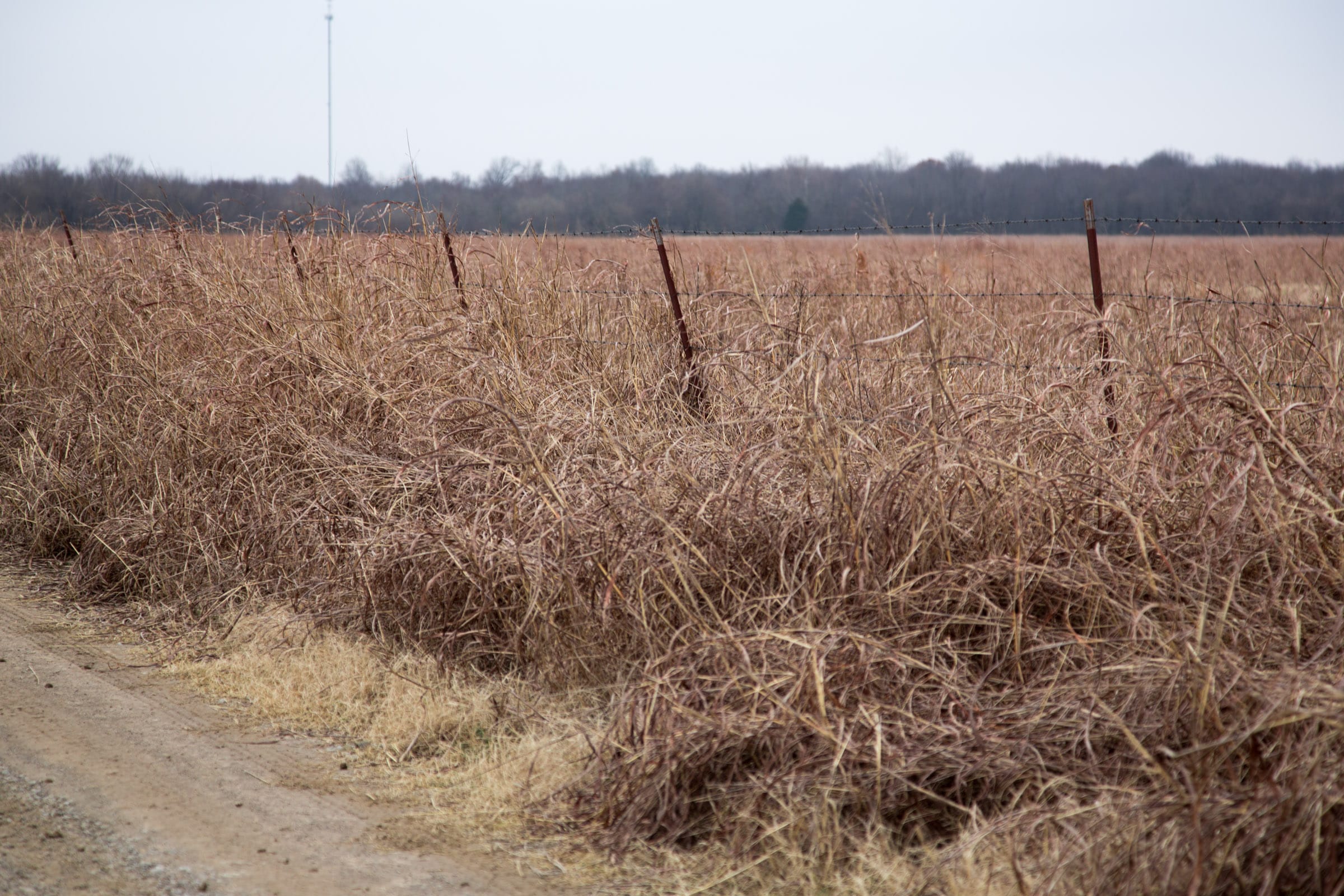 Canadian Plains Tract 40 photo 5
