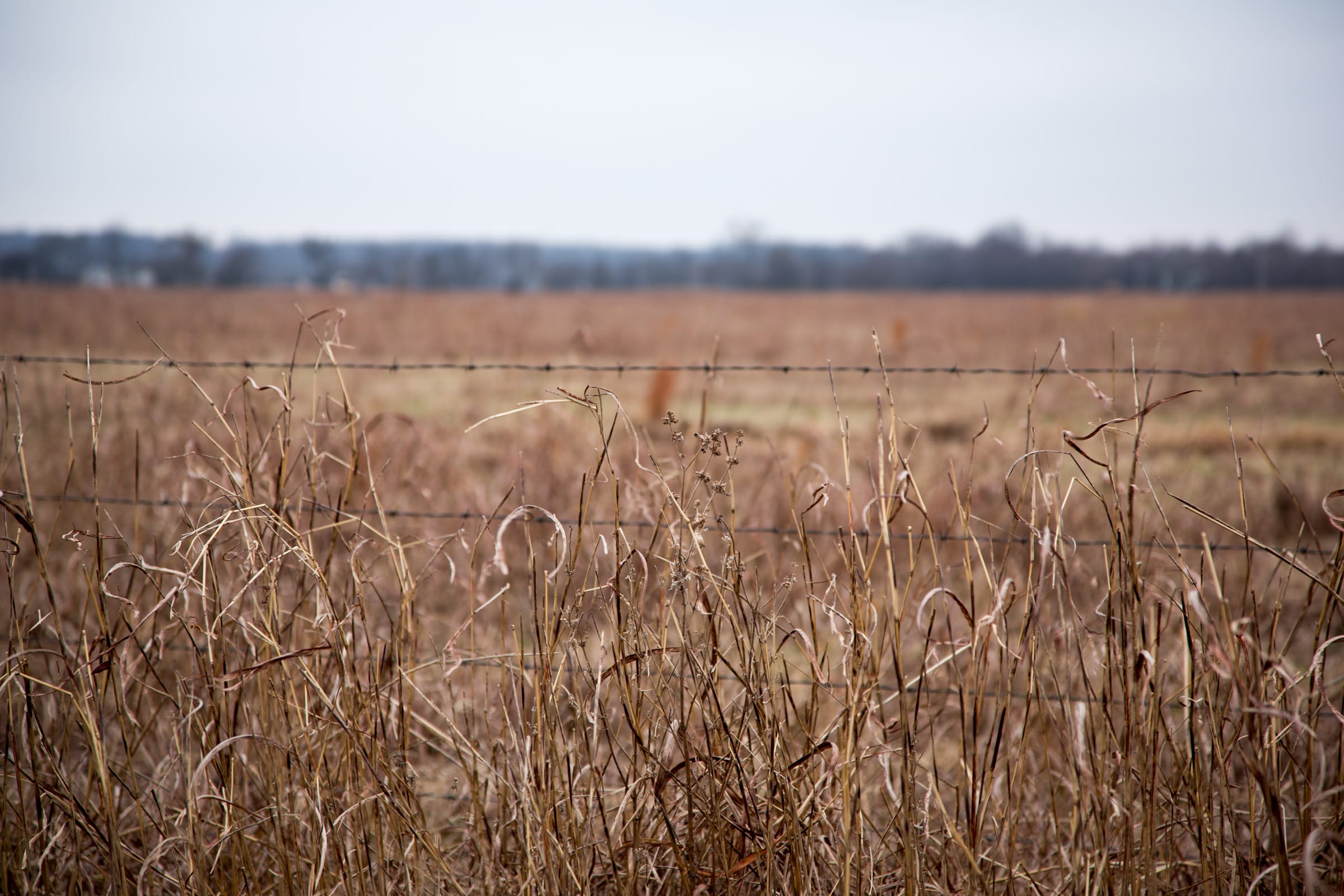 Canadian Plains Tract 40 photo 6