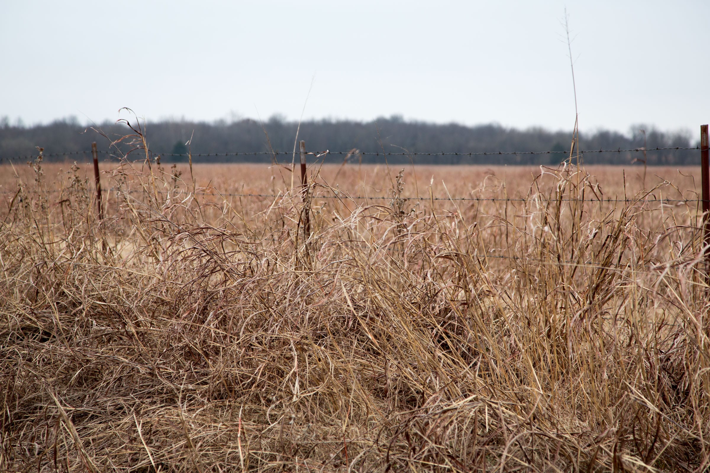Canadian Plains Tract 40 photo 7