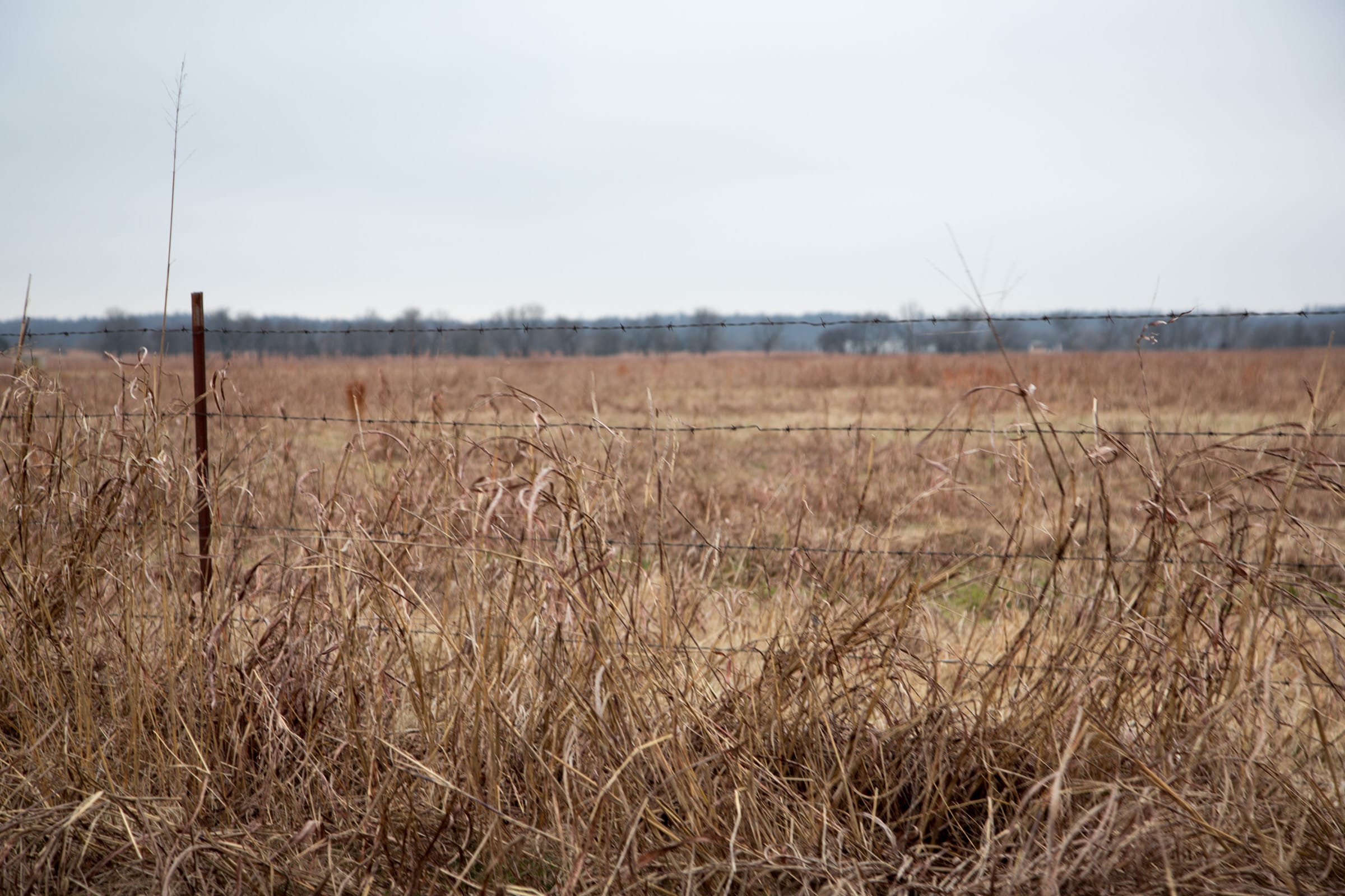 Canadian Plains Tract 40 photo 8