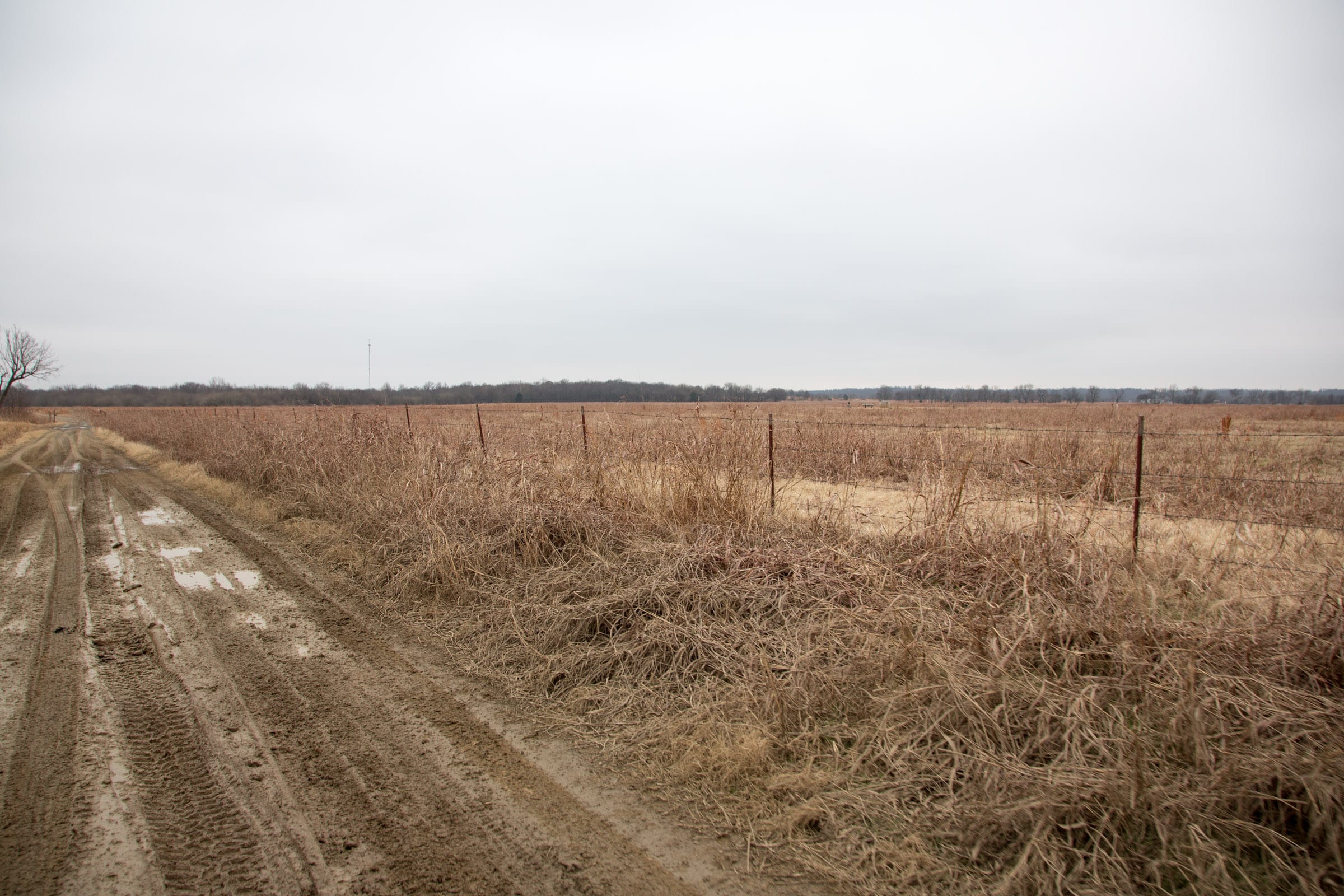 Canadian Plains Tract 40 photo 9