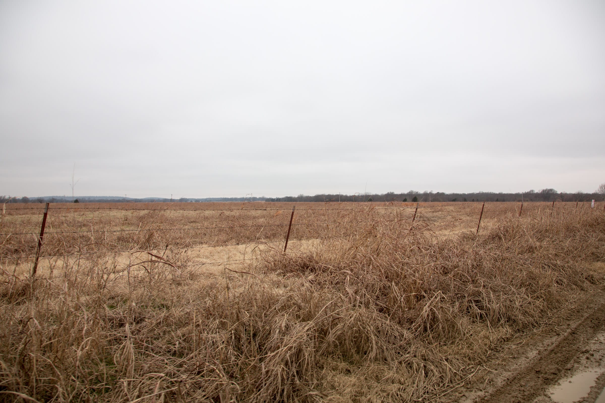 Canadian Plains Tract 40 photo 10