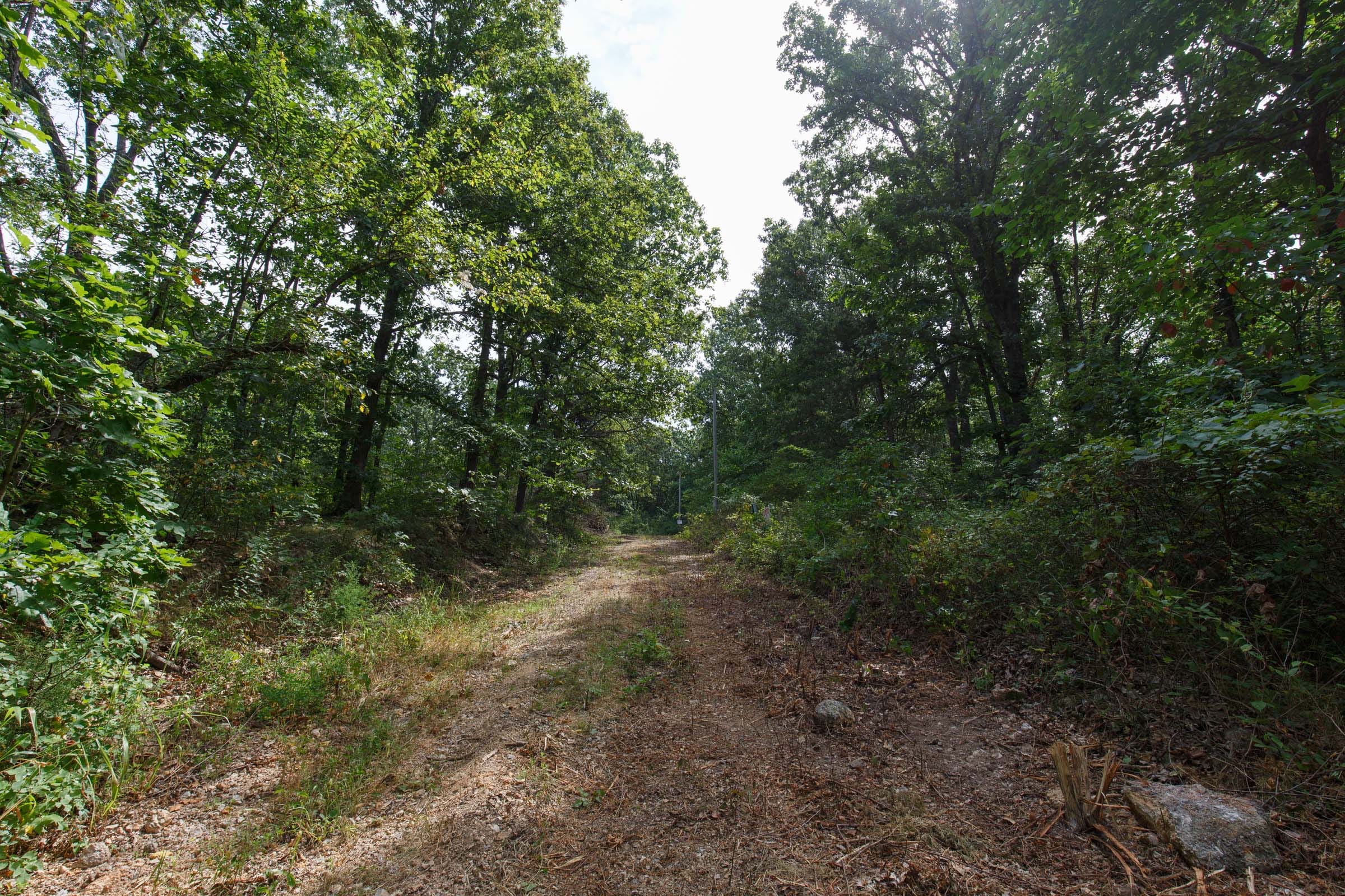 Spring Lake Plat 2 Tract 11 photo 6