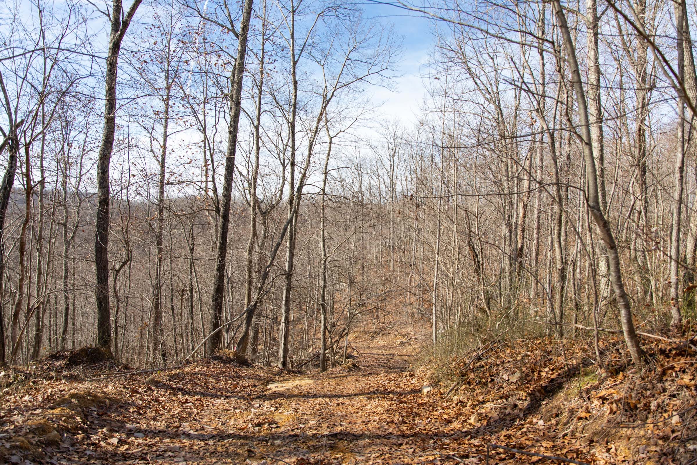 Blackstone Mountain Phase I Tract 37 photo 6