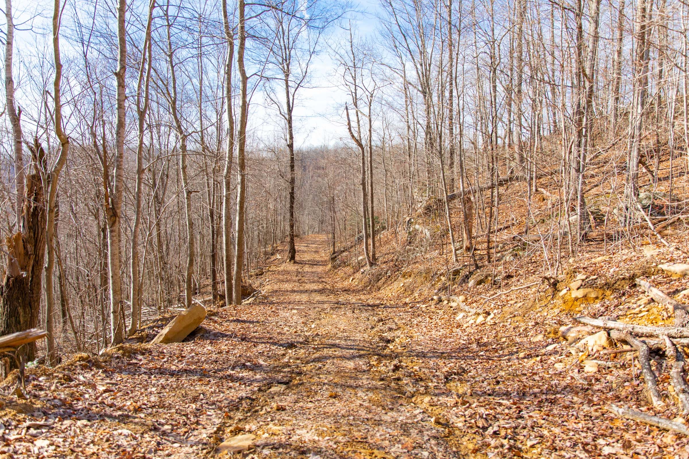 Blackstone Mountain Phase I Tract 37 photo 8