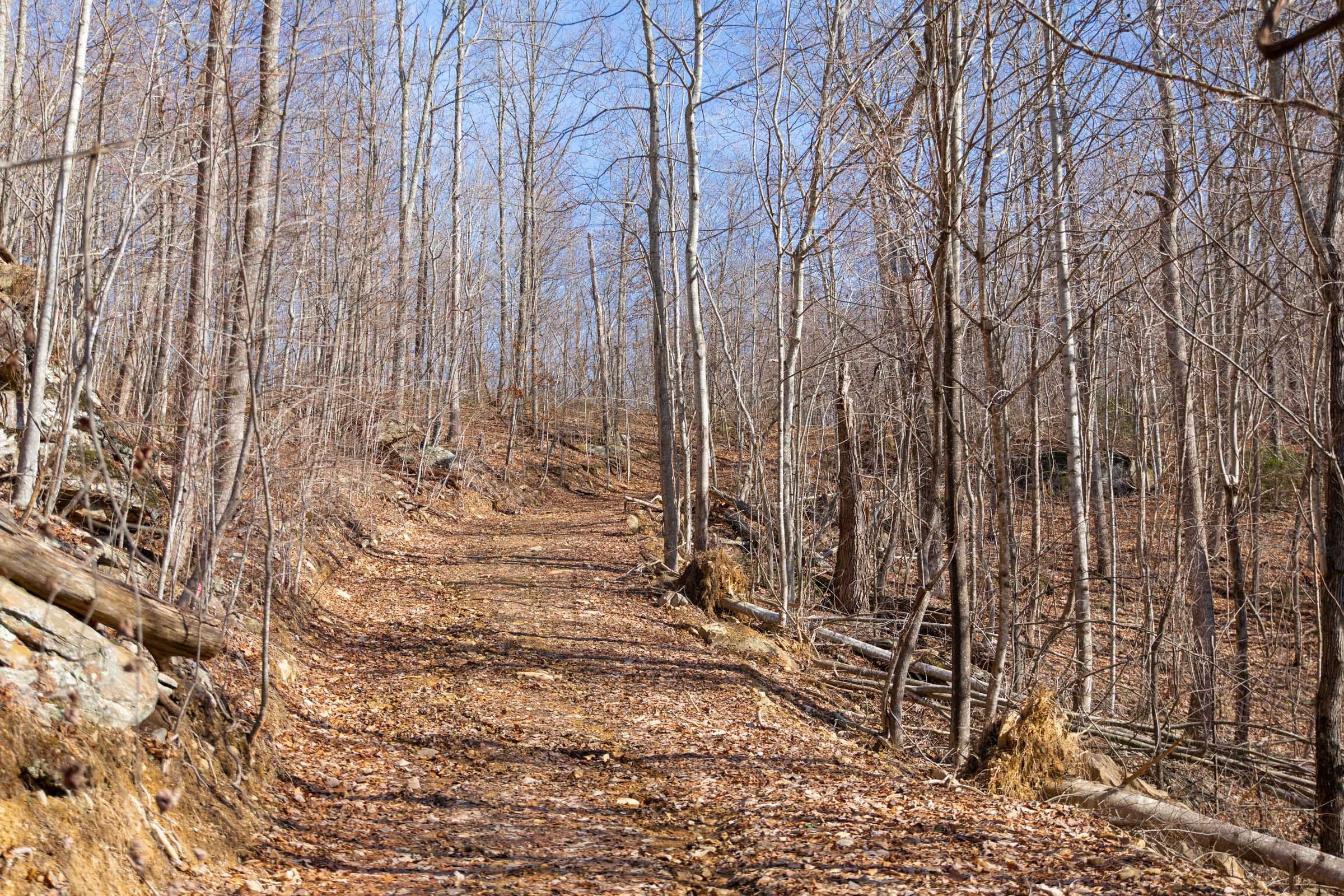 Blackstone Mountain Phase I Tract 37 photo 9