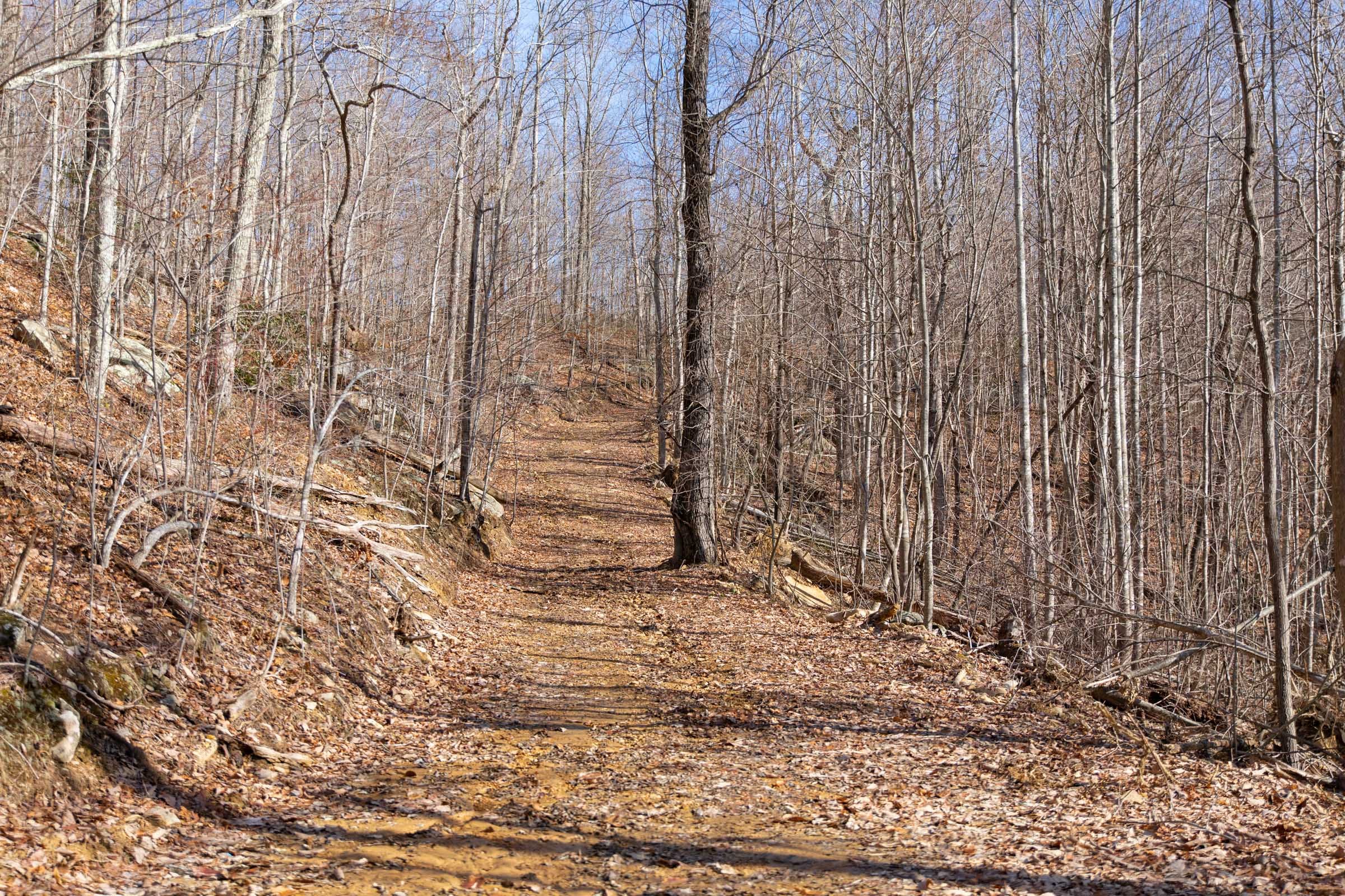 Blackstone Mountain Phase I Tract 37 photo 11