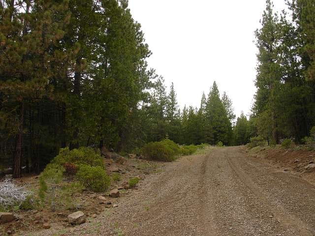 California Pines Tract 28 photo 1