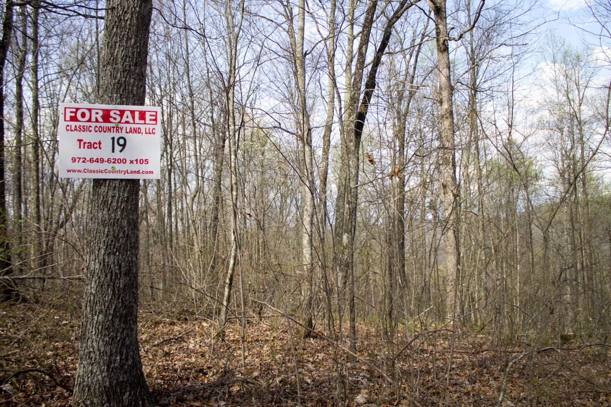 Chestnut Oak Ridge Tract 19 photo 1