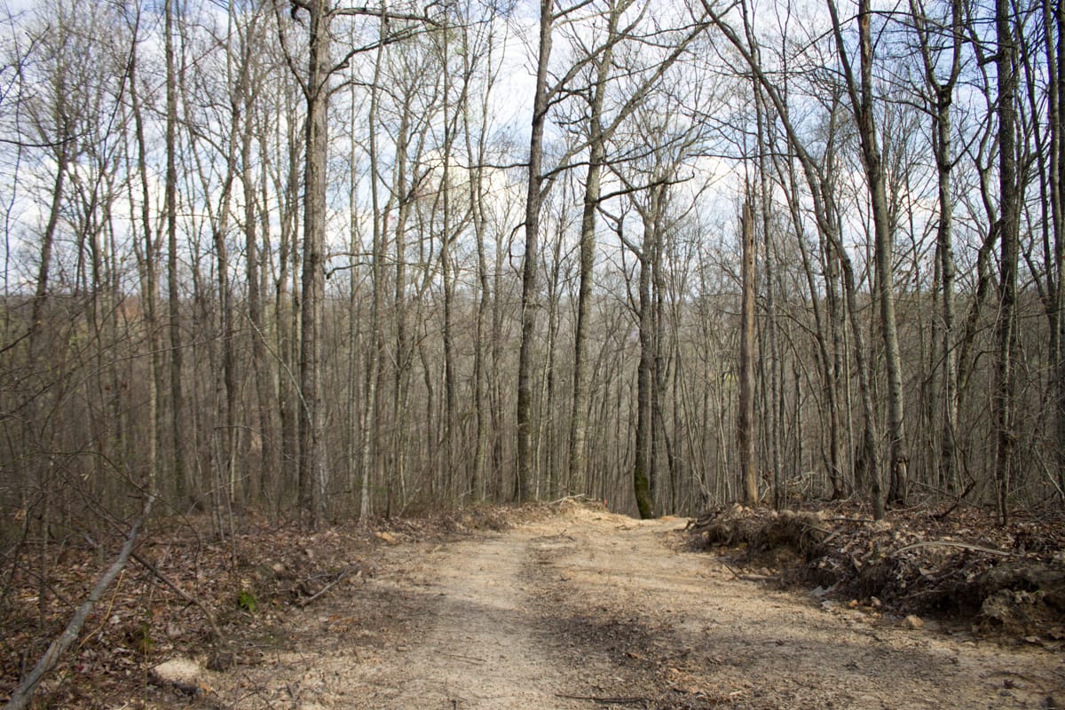 Chestnut Oak Ridge Tract 19 photo 2