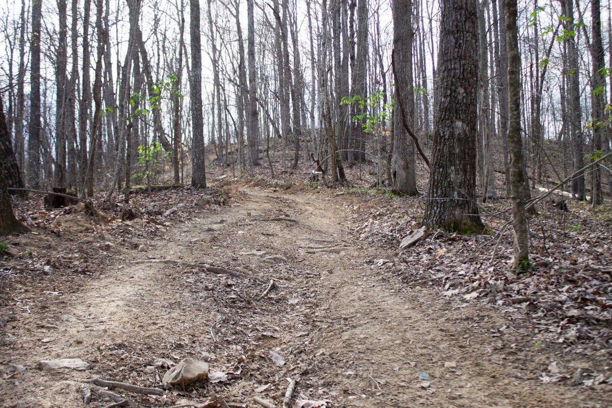 Chestnut Oak Ridge Tract 19 photo 10