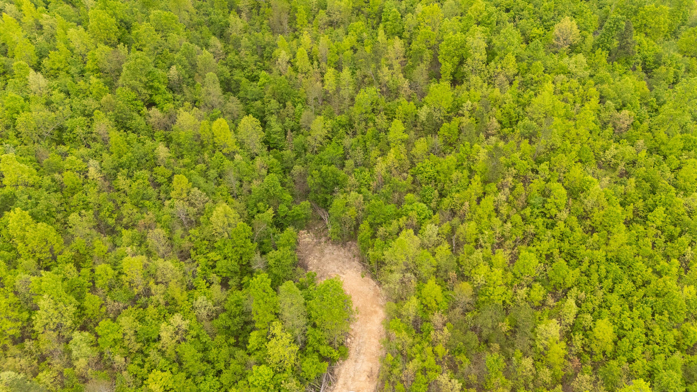 Double S Ranch Tract 7 photo 1