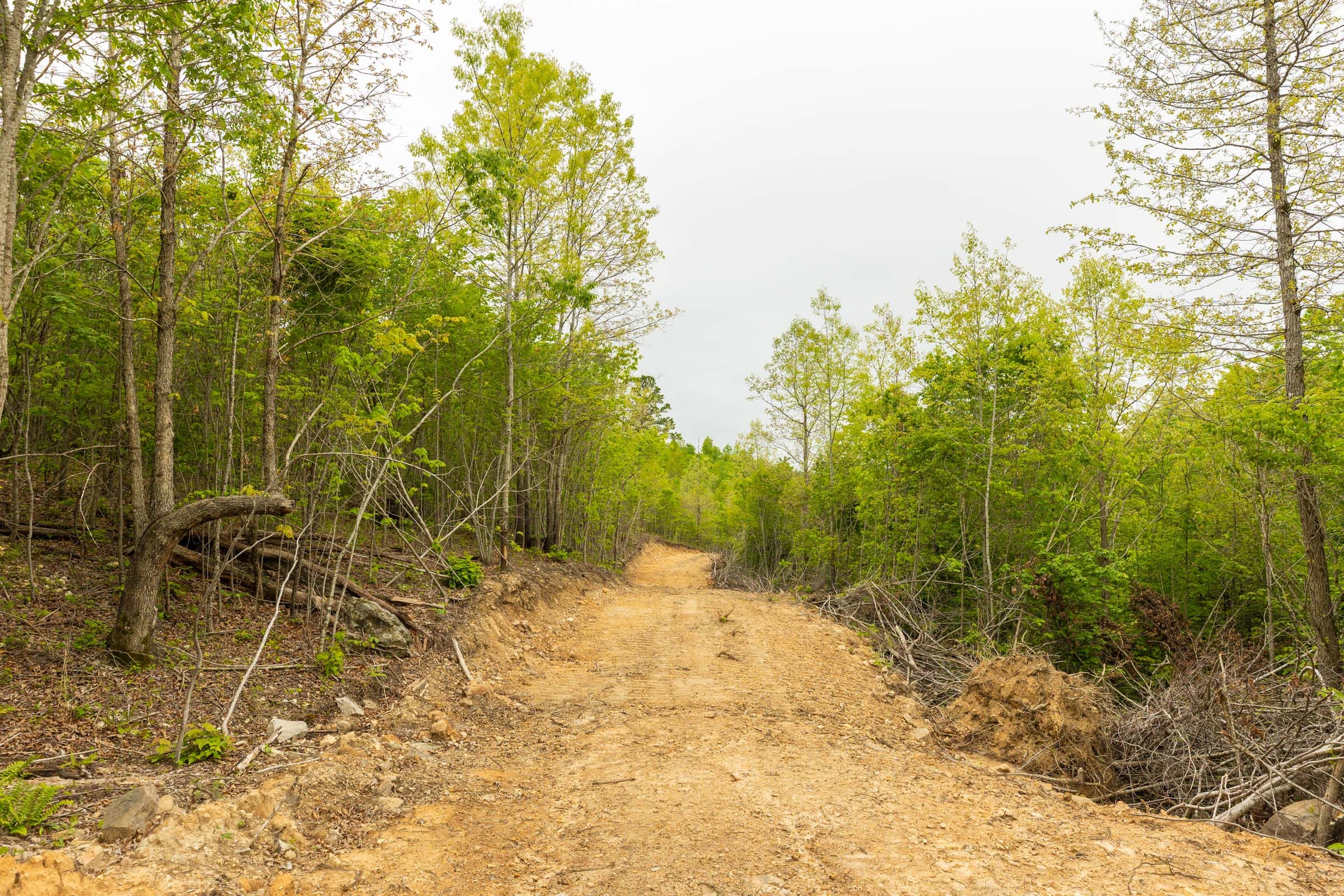 Double S Ranch Tract 7 photo 10