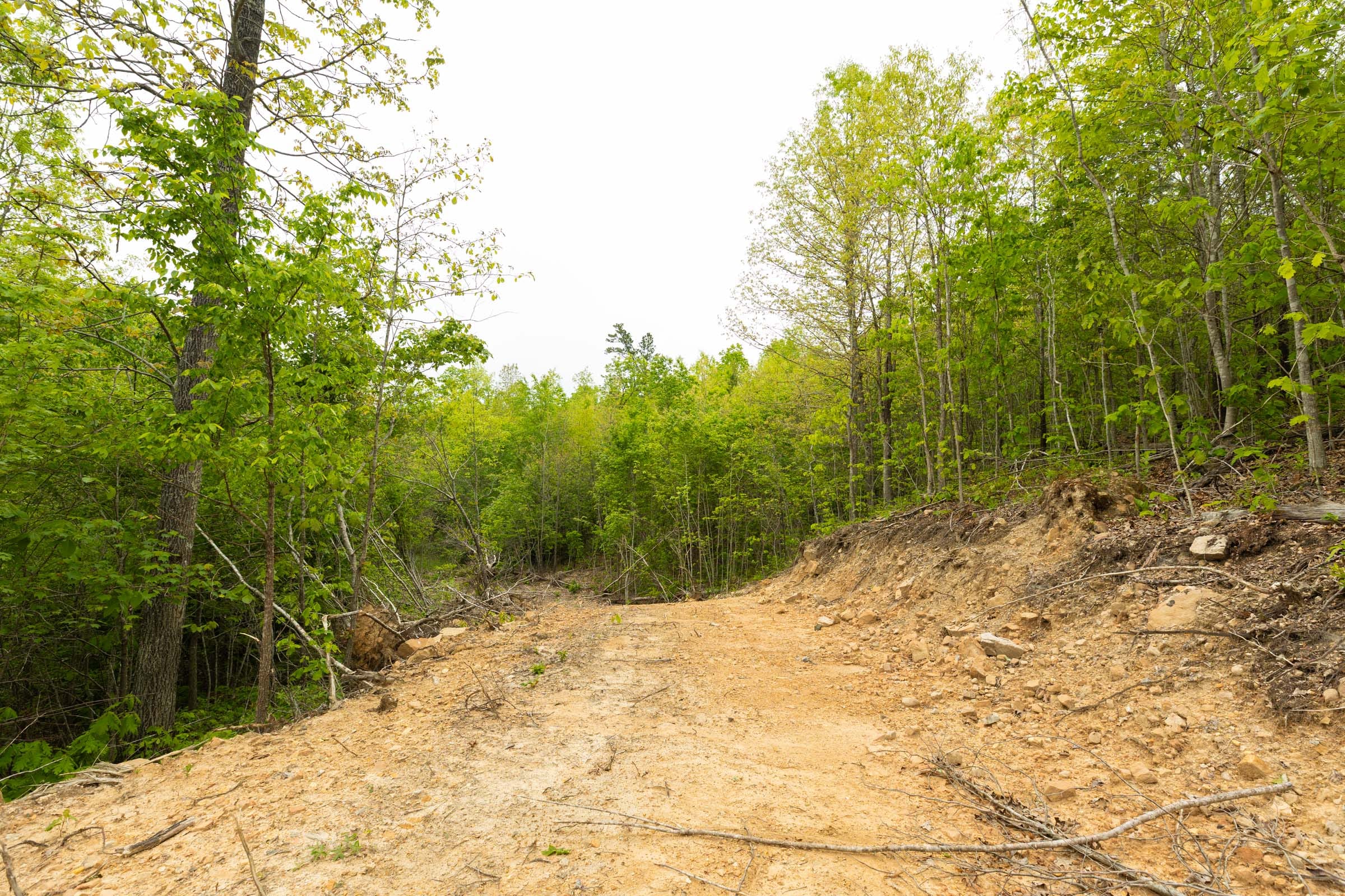 Double S Ranch Tract 7 photo 6