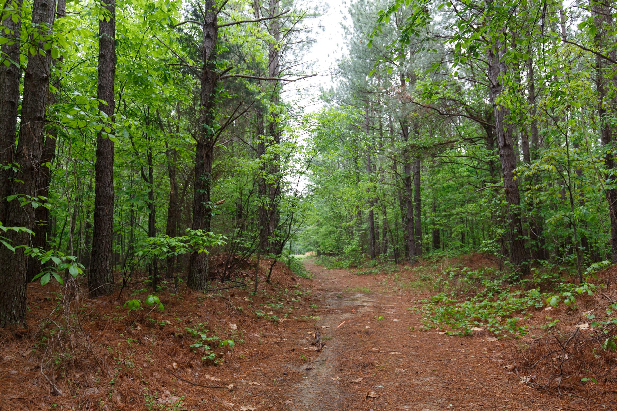 Red Barn Ranch Tract 31 photo 1