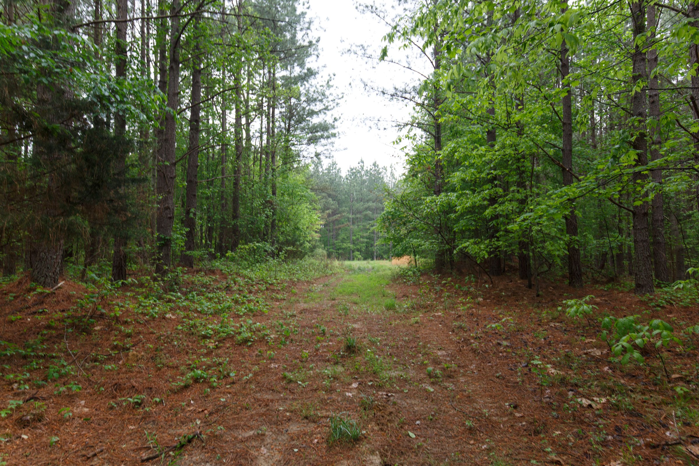 Red Barn Ranch Tract 31 photo 8