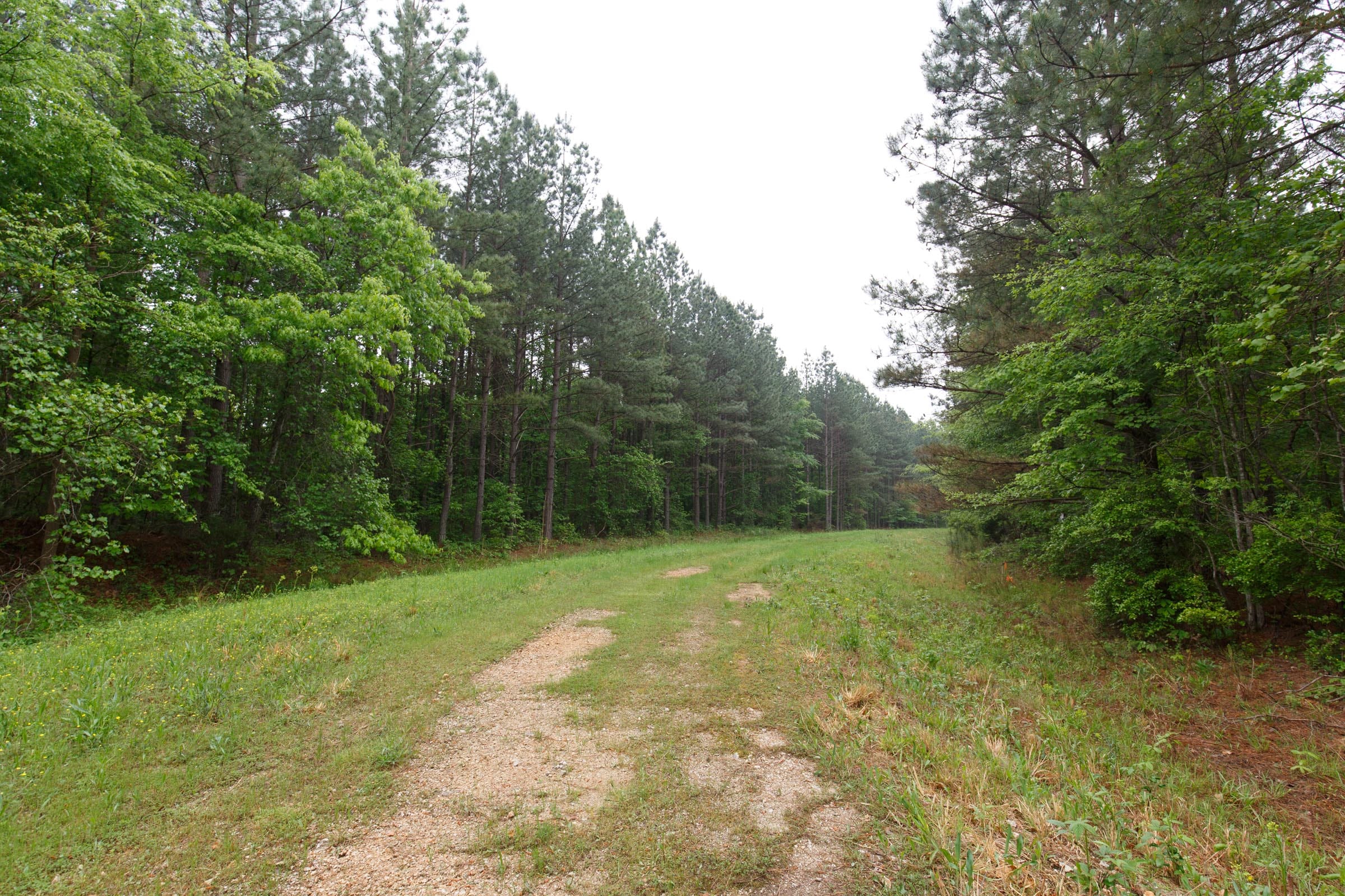 Red Barn Ranch Tract 31 photo 10