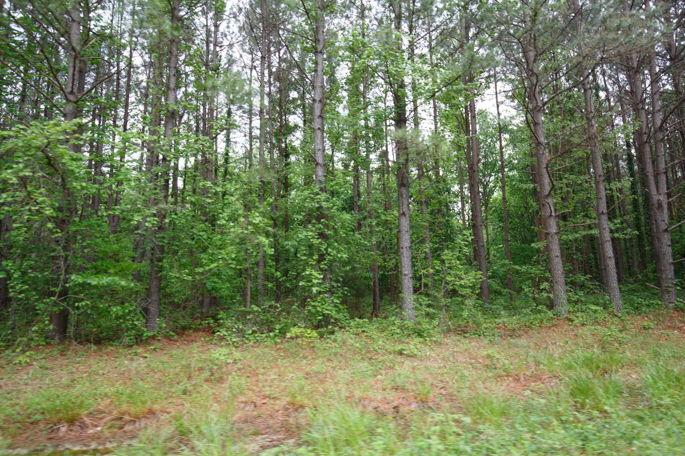 Red Barn Ranch Tract 31 photo 11