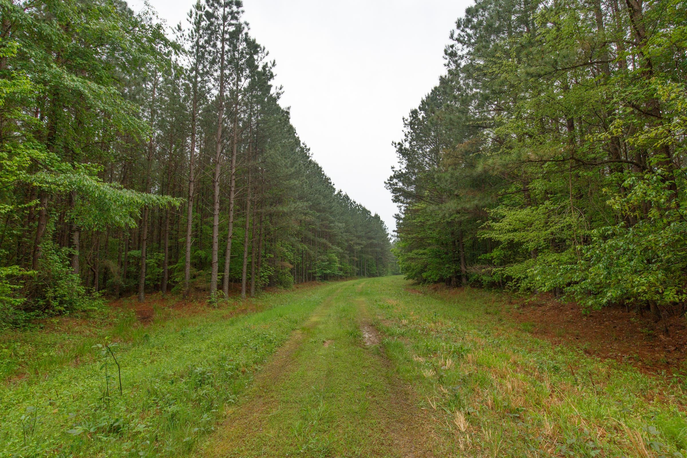 Red Barn Ranch Tract 31 photo 12