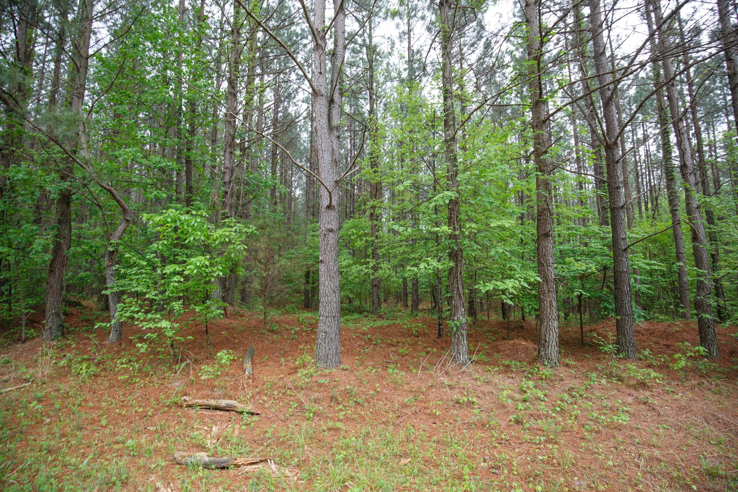 Red Barn Ranch Tract 31 photo 13