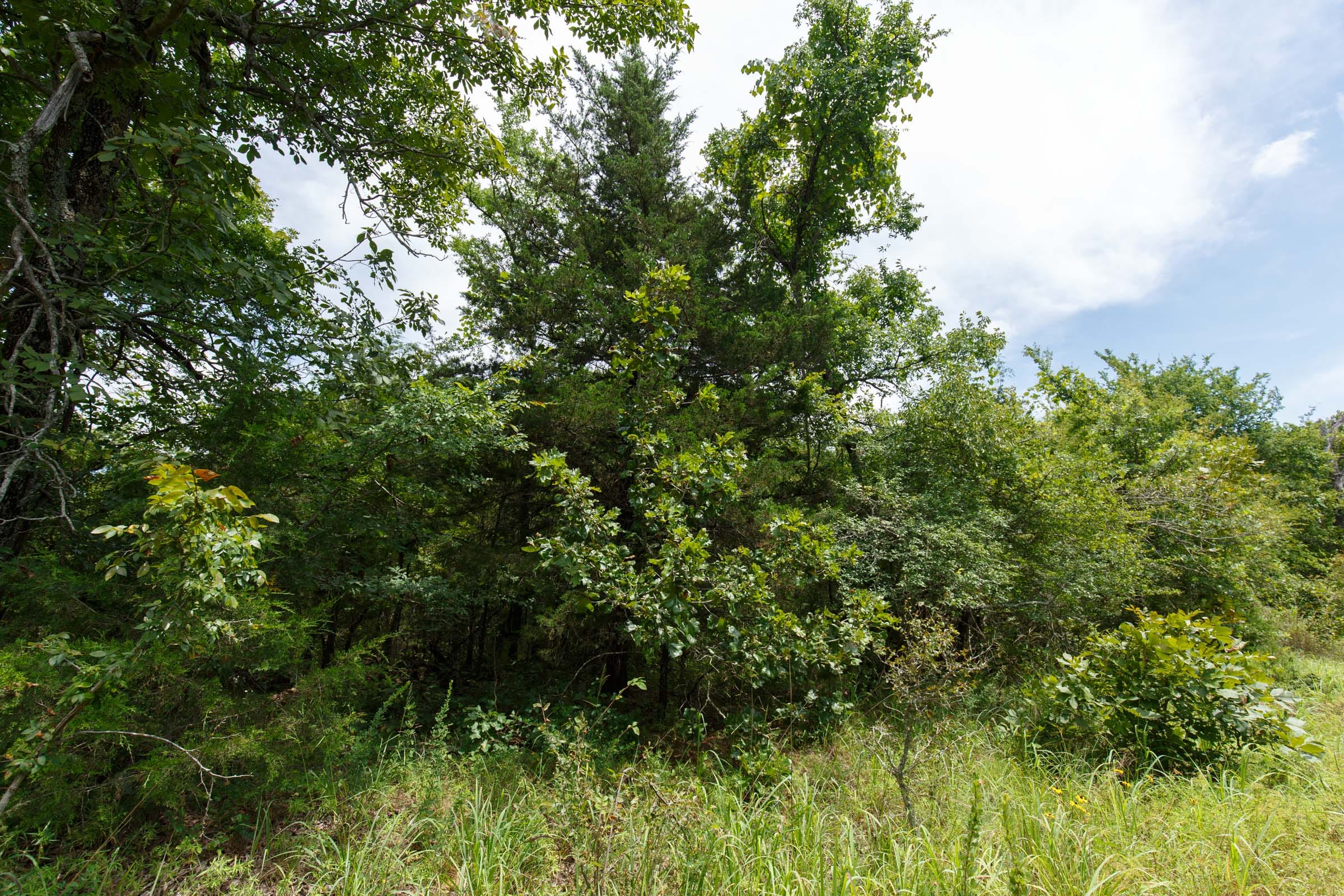Timber Ridge Tract 35 photo 2