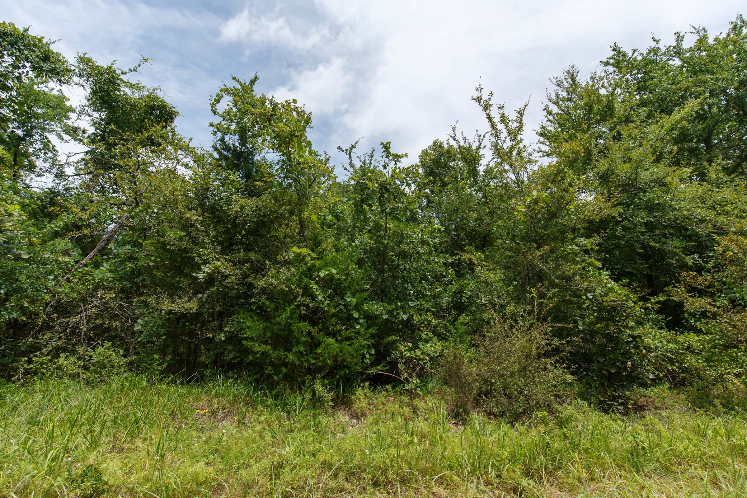 Timber Ridge Tract 35 photo 5